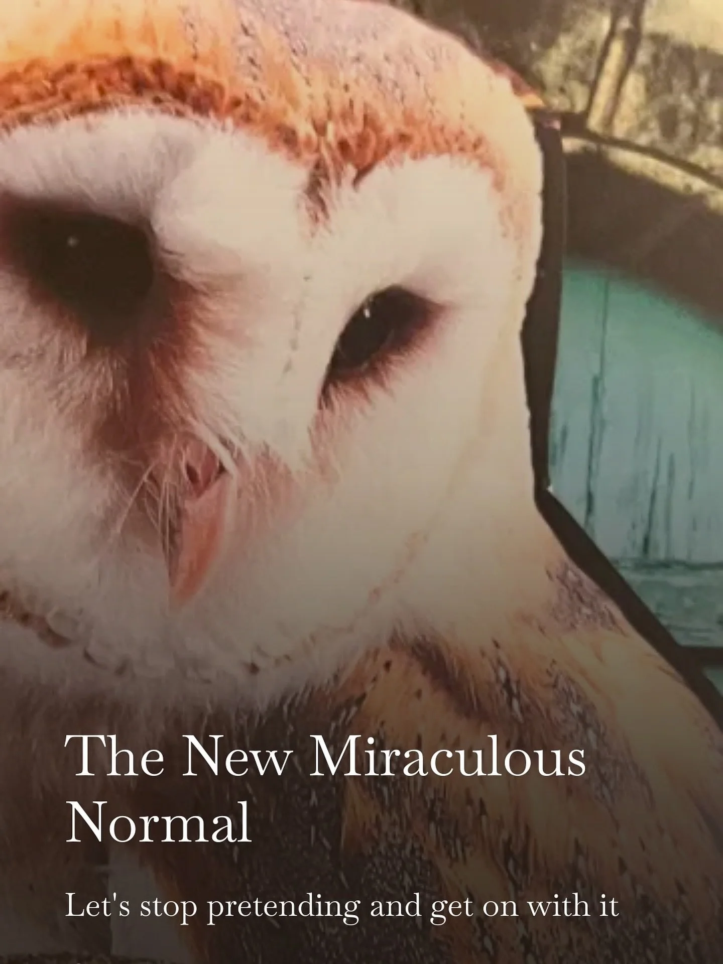 Oh, have you heard? I got tired of trying to say things in 7 seconds so I started writing my actual complete thoughts on Substack. 

Today&rsquo;s features none other than Ms Oprah Winfrey, and the revolution my clients are creating over here in East