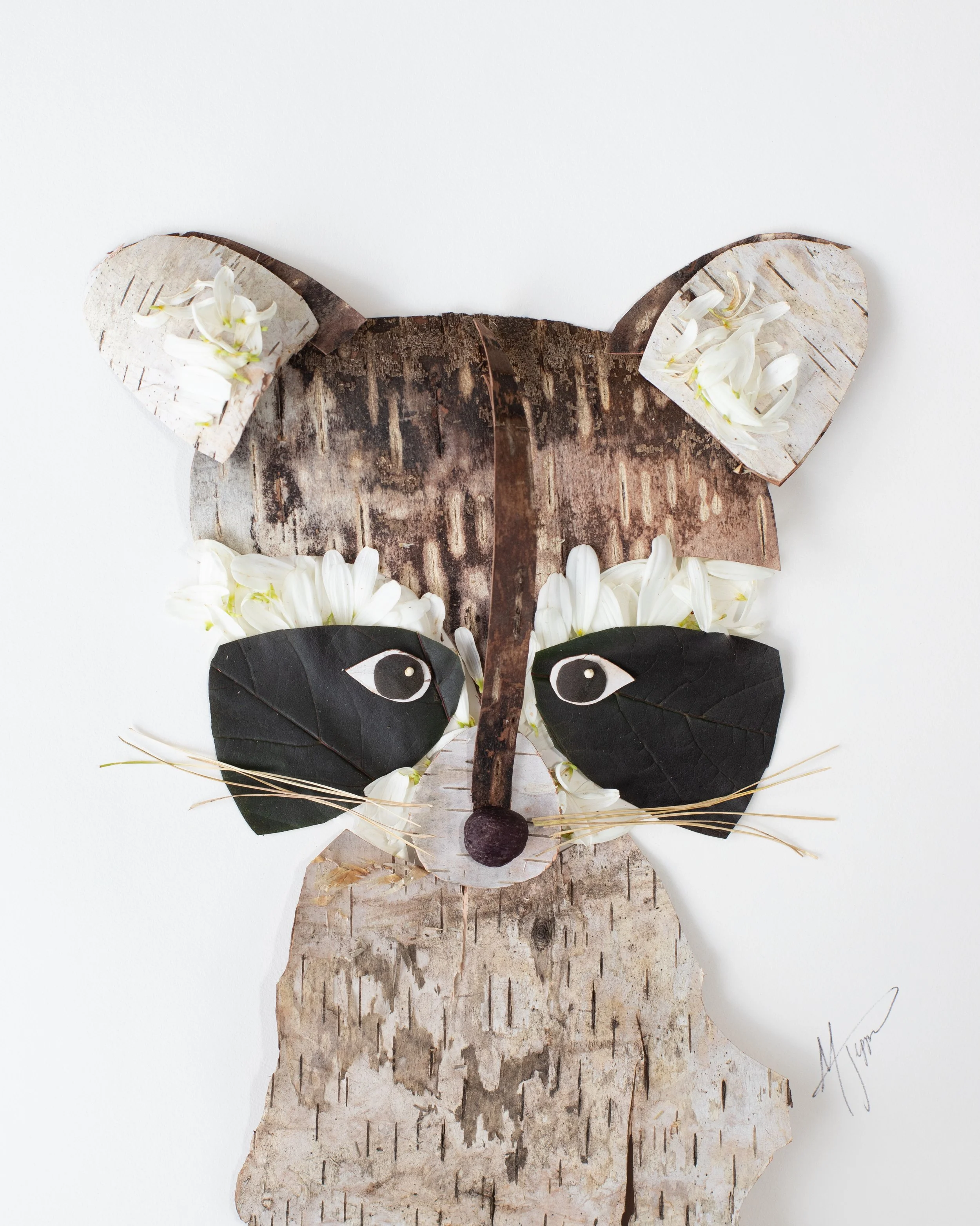 Raccoon Nature Art Print