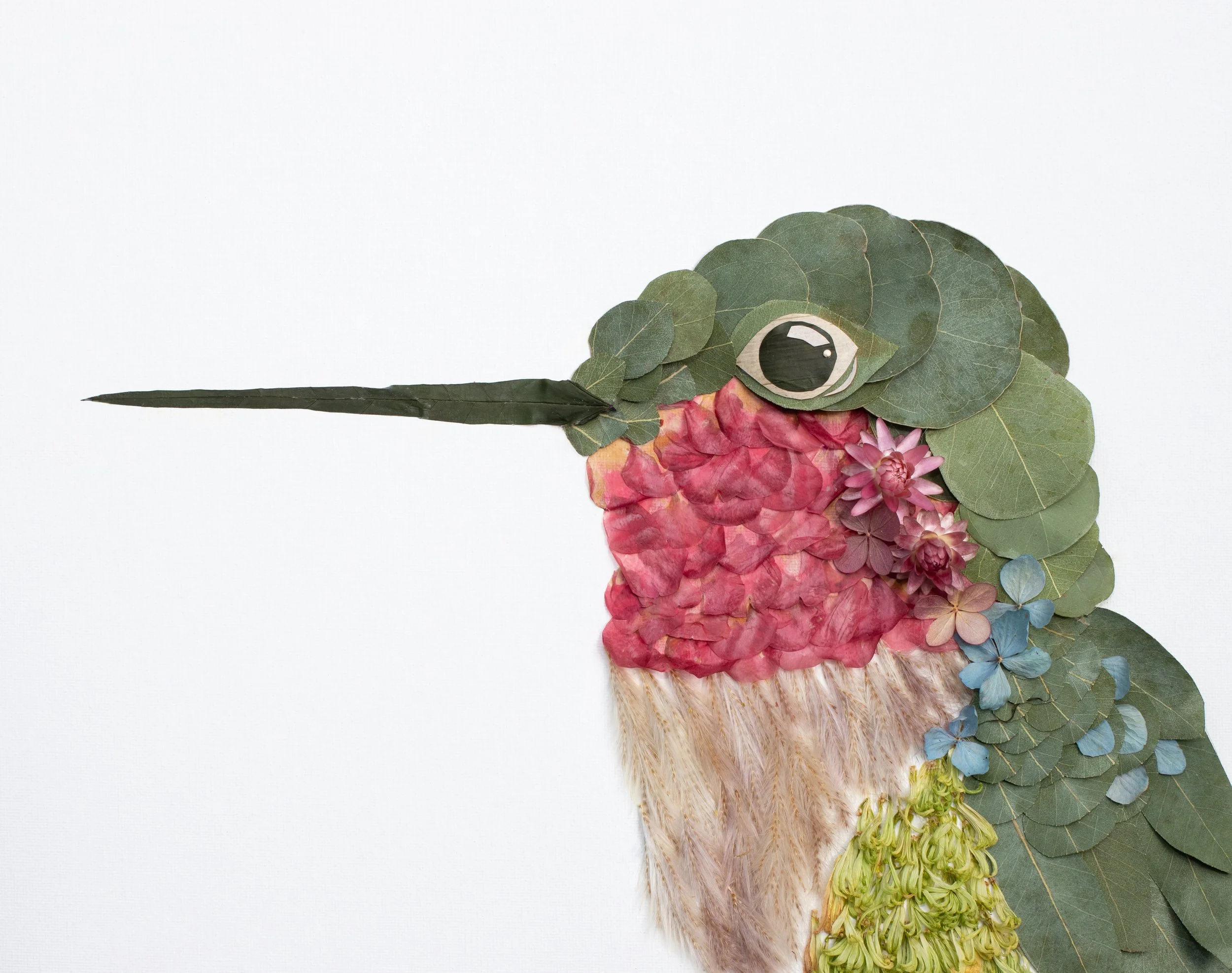 Hummingbird Nature Art Print