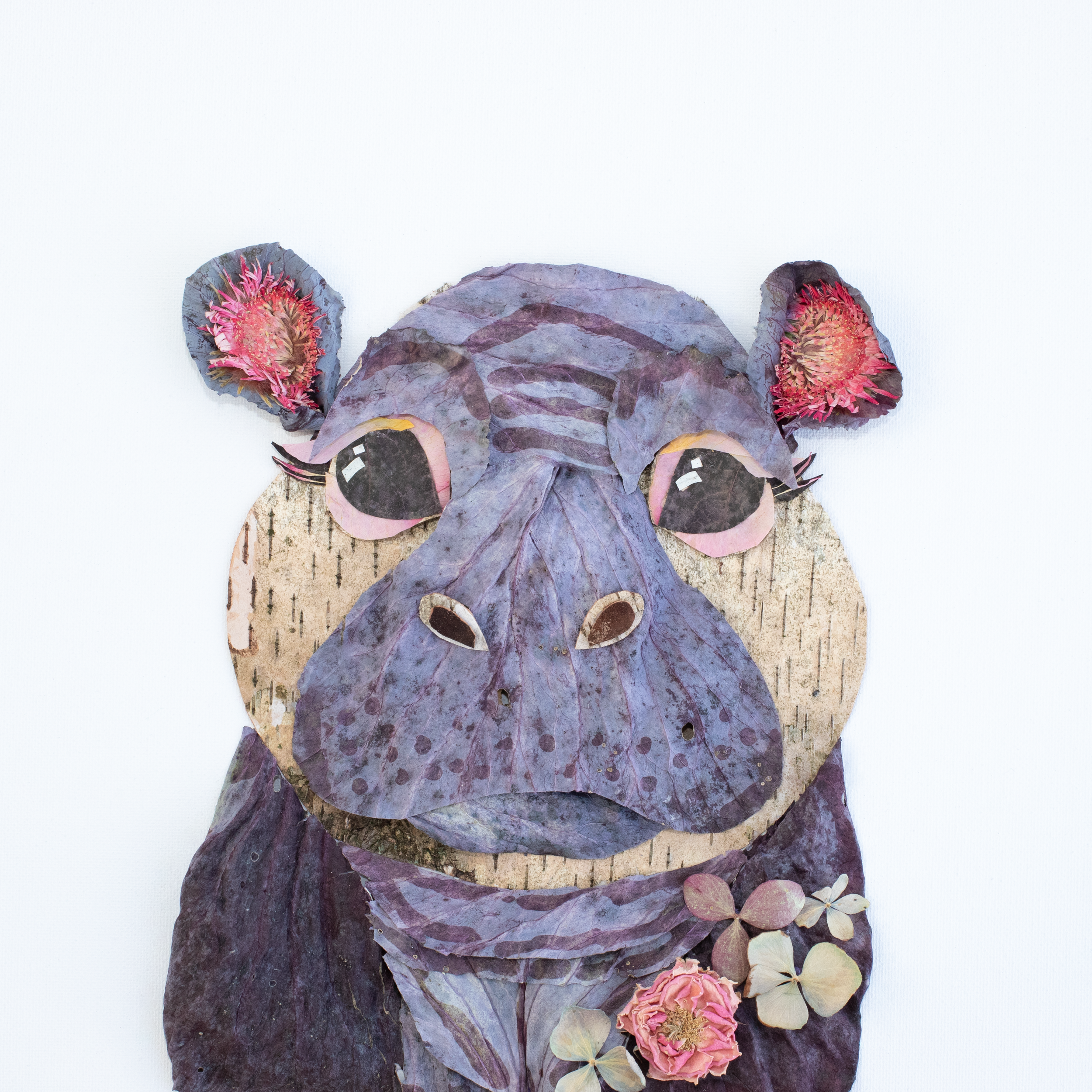 Hippo.png