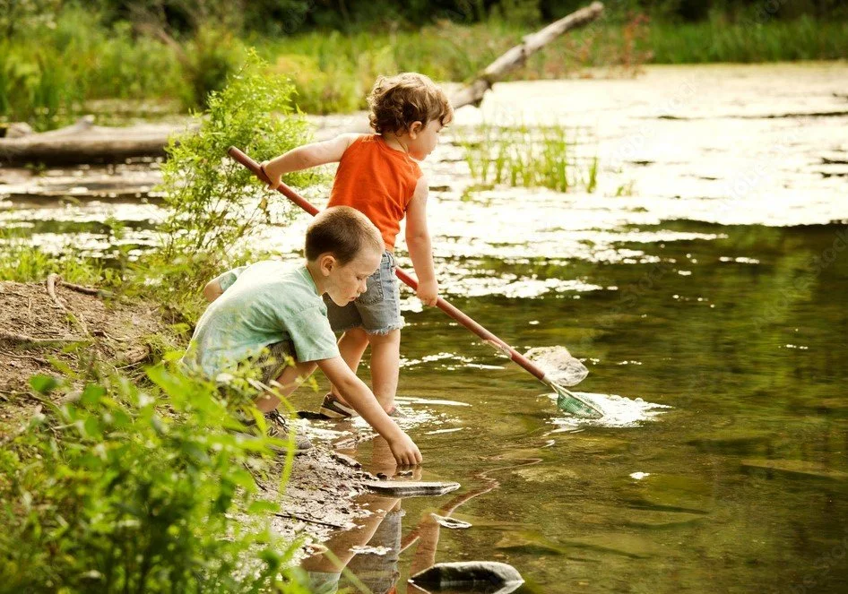 Recycle and help save the environment