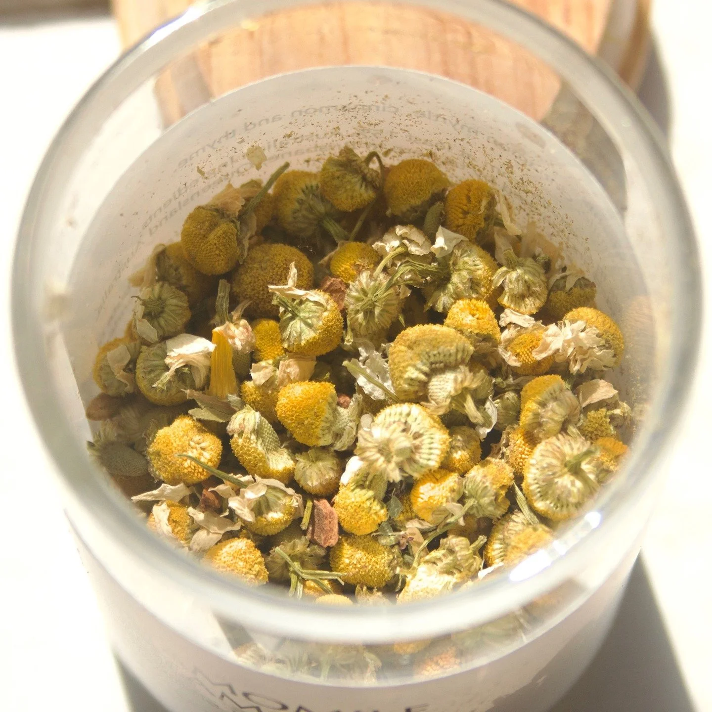 Chamomile Dream is a soothing fusion of classic Chamomile and Australian native Cinnamon Myrtle, grounded with Cinnamon and Thyme.
Blended to bring you comfort and clarity on those restless nights.