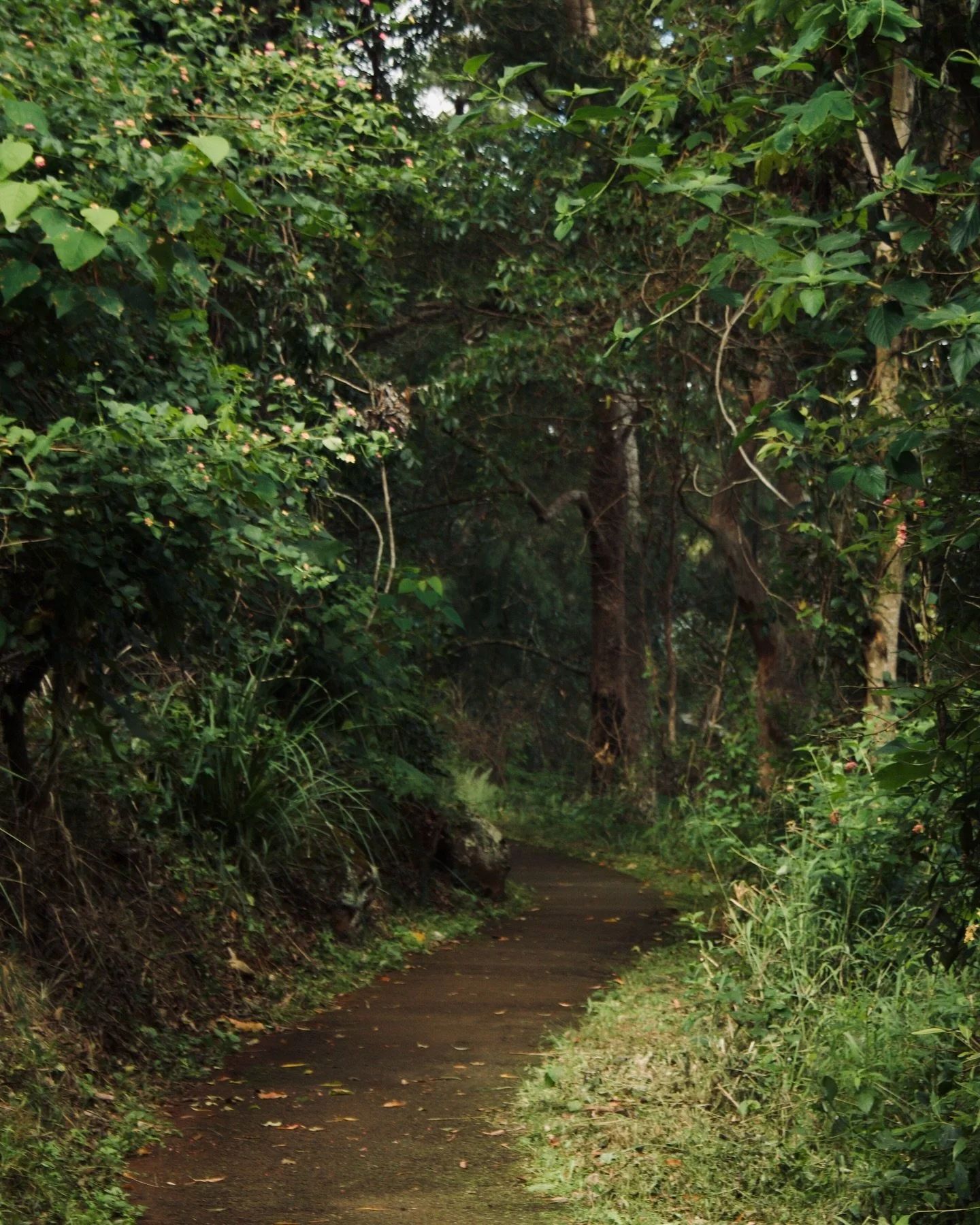 As the seasons begin to change, nature gently reminds us that change is always possible in our own lives too. Small, daily choices shape our wellbeing, mentally, physically, and spiritually. Choosing to slow down. Choosing to nourish ourselves. Choos