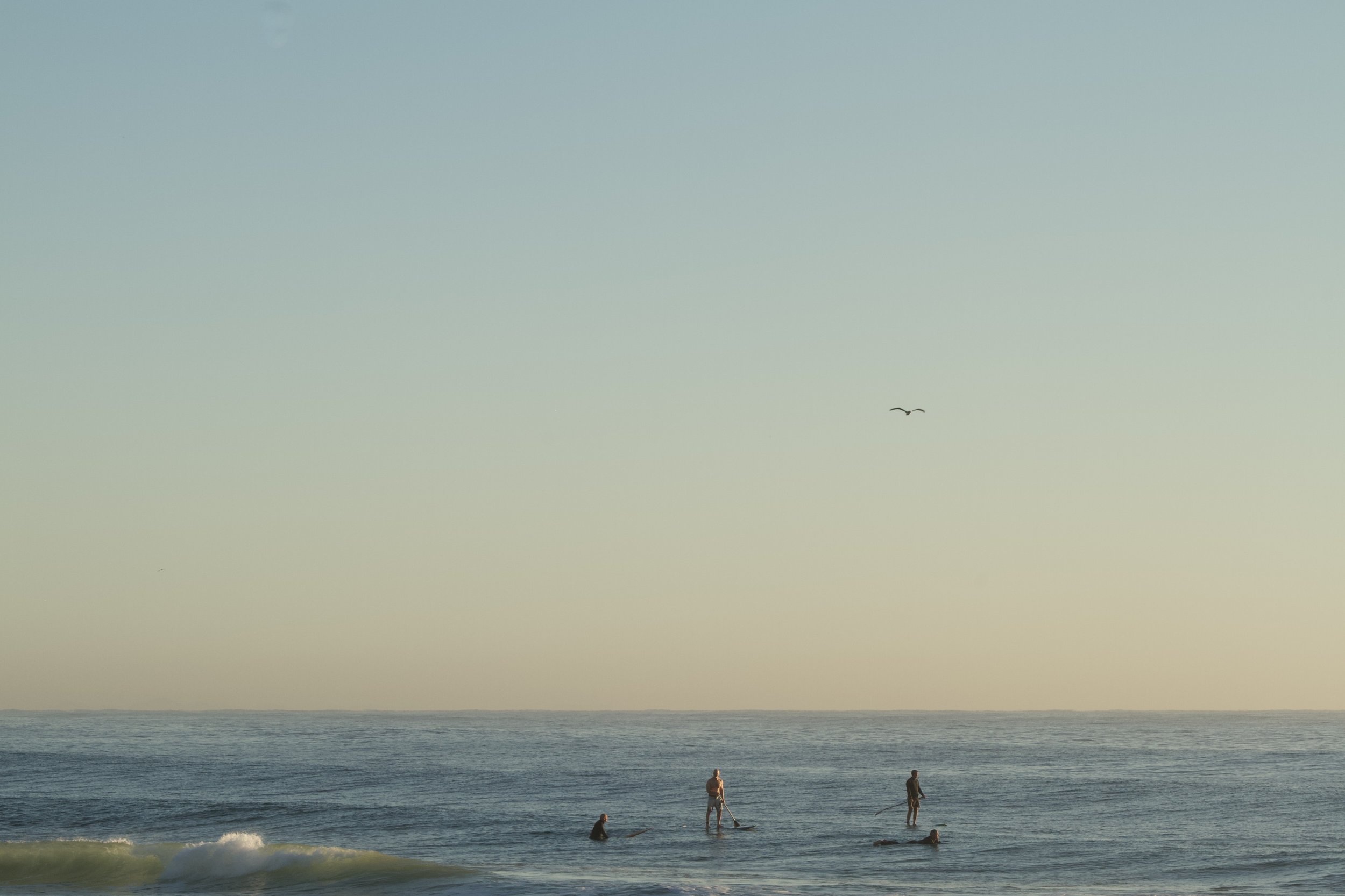 Ocean Sunrise 2, Gold Coast