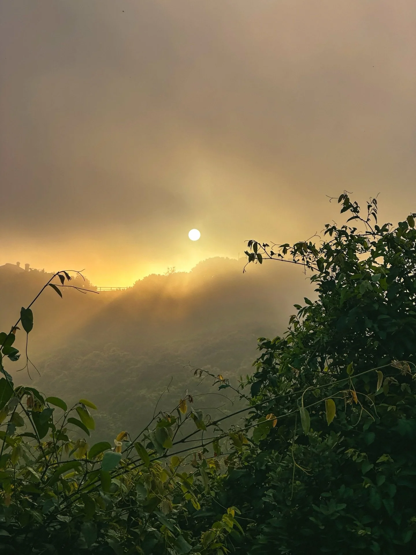 A new chapter is beginning to unfold. Not only in Solsara and business life, but my personal emotional and spiritual life. 

I love how I&rsquo;ve always been so drawn to the astrological new year, rather than the 31st December. January always feels 