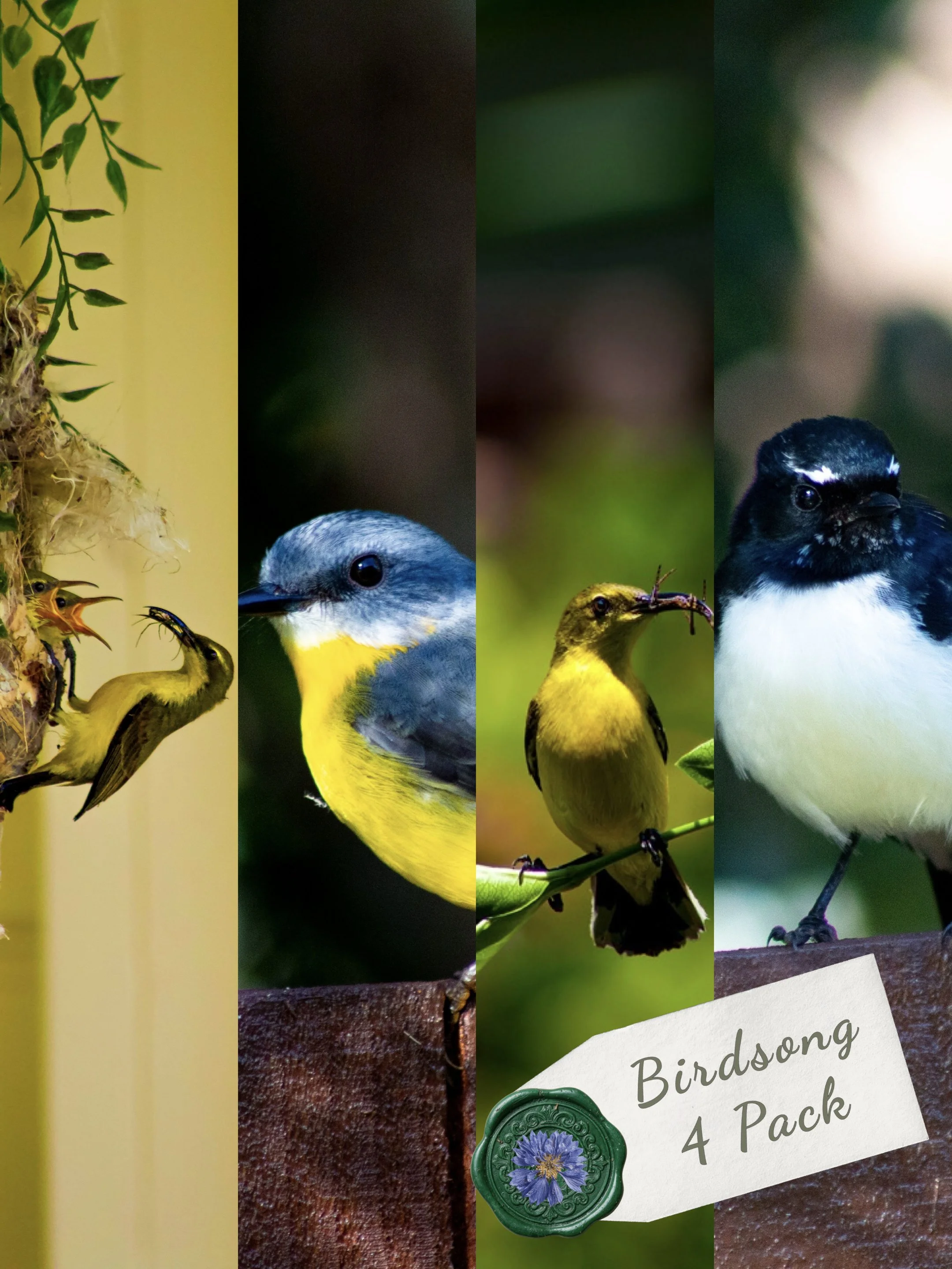 4 PACK - Original Photography Bookmarks