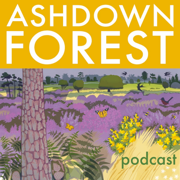 Podcast artwork for the Ashdown Forest podcast