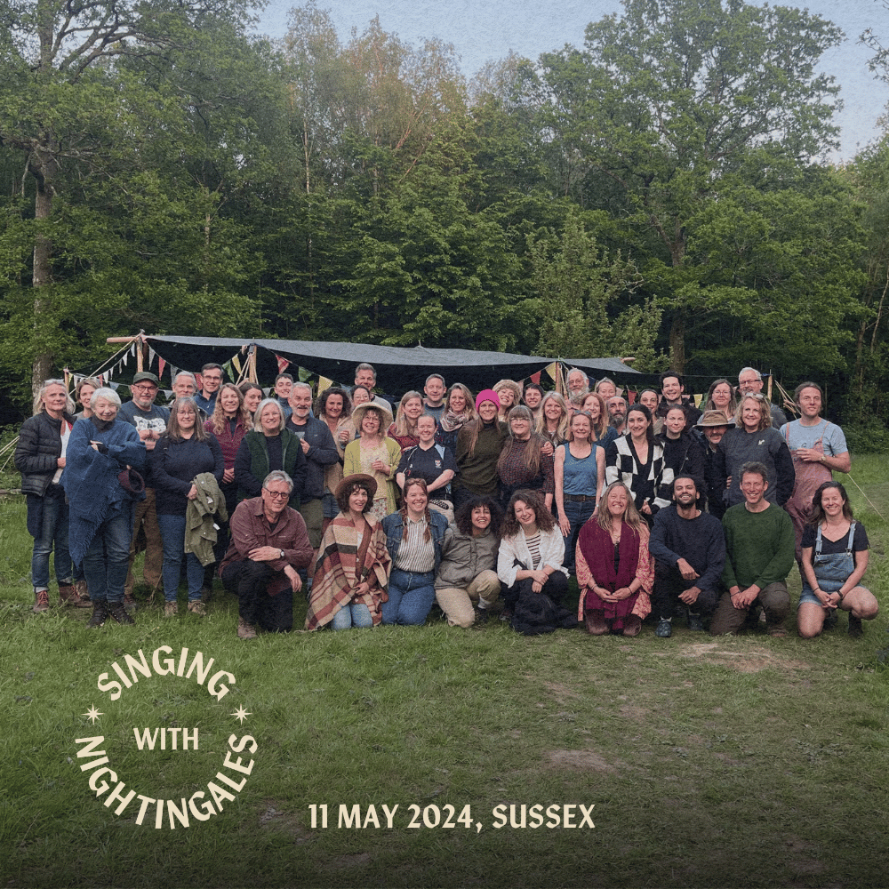 11 May 2024, Sussex