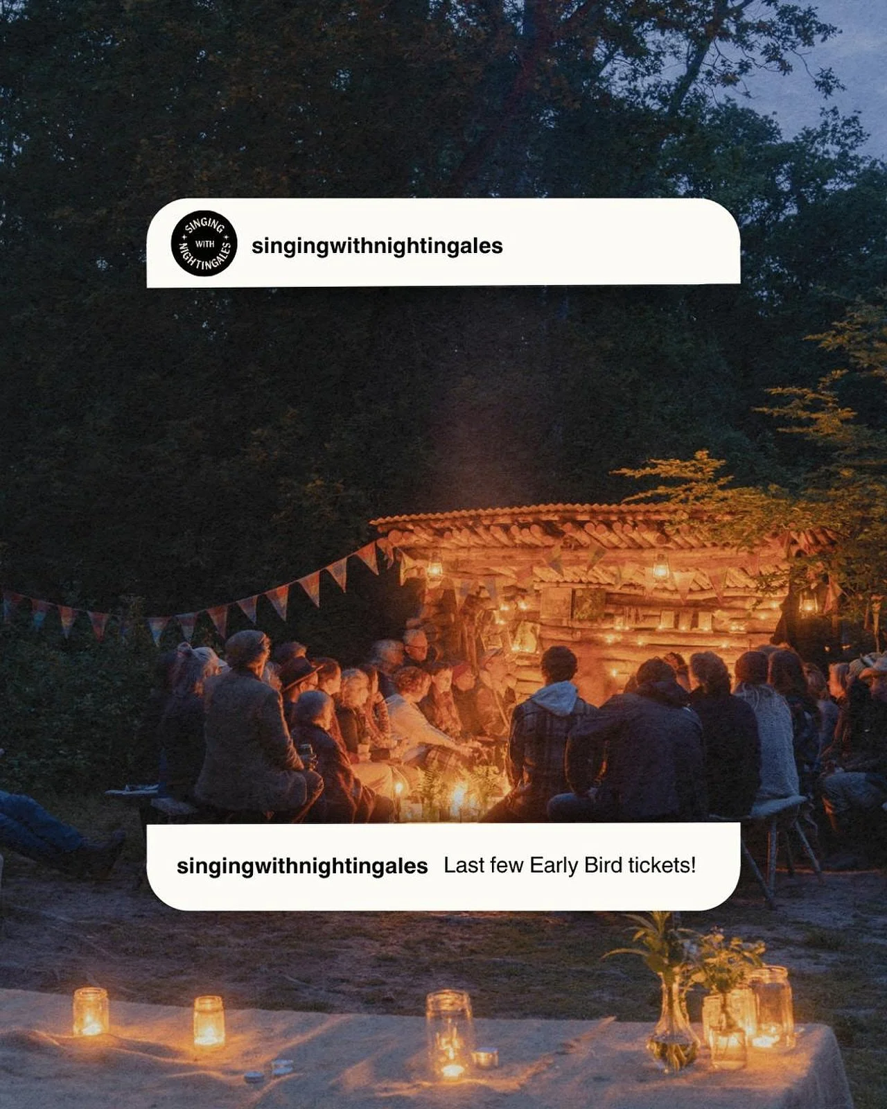 Limited early bird tickets remain for our 2026 season (April-June in Sussex and Bedfordshire). Gather around the fire before walking into ancient woods where Nightingales weave their courtship songs with spellbinding musicians. 
“The most magi