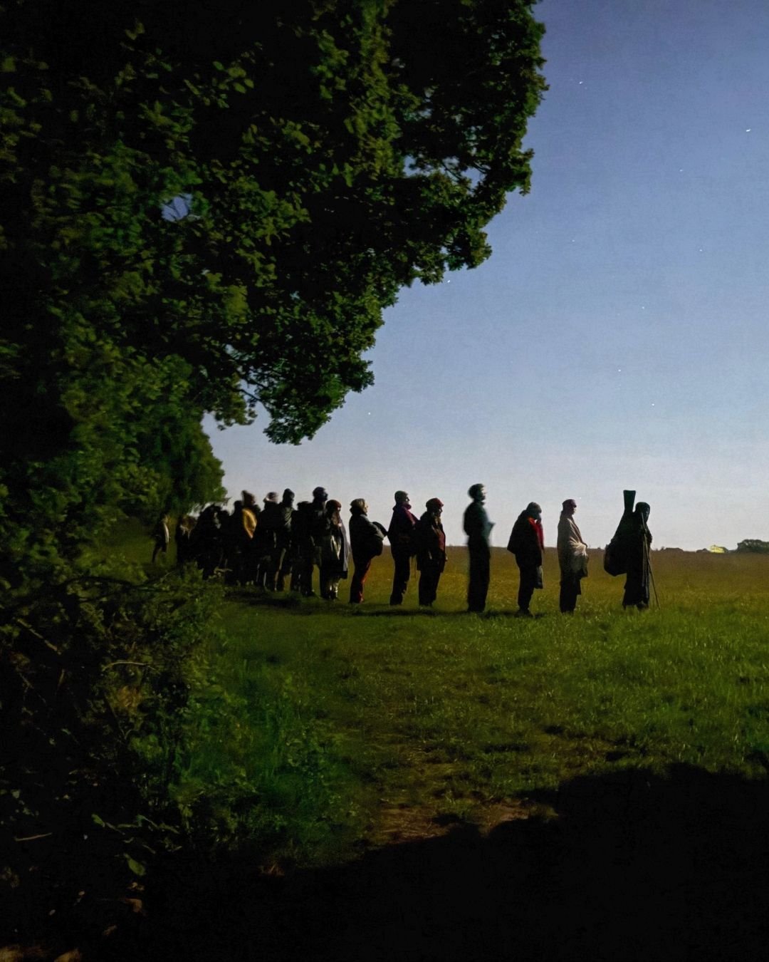 Lately we've been musing on the power of awe.

Awe as a necessary human experience. A response to a place, or a space, or a moment that opens you into a new relationship with the world. Openness of heart, but also openness to action, to change, and t