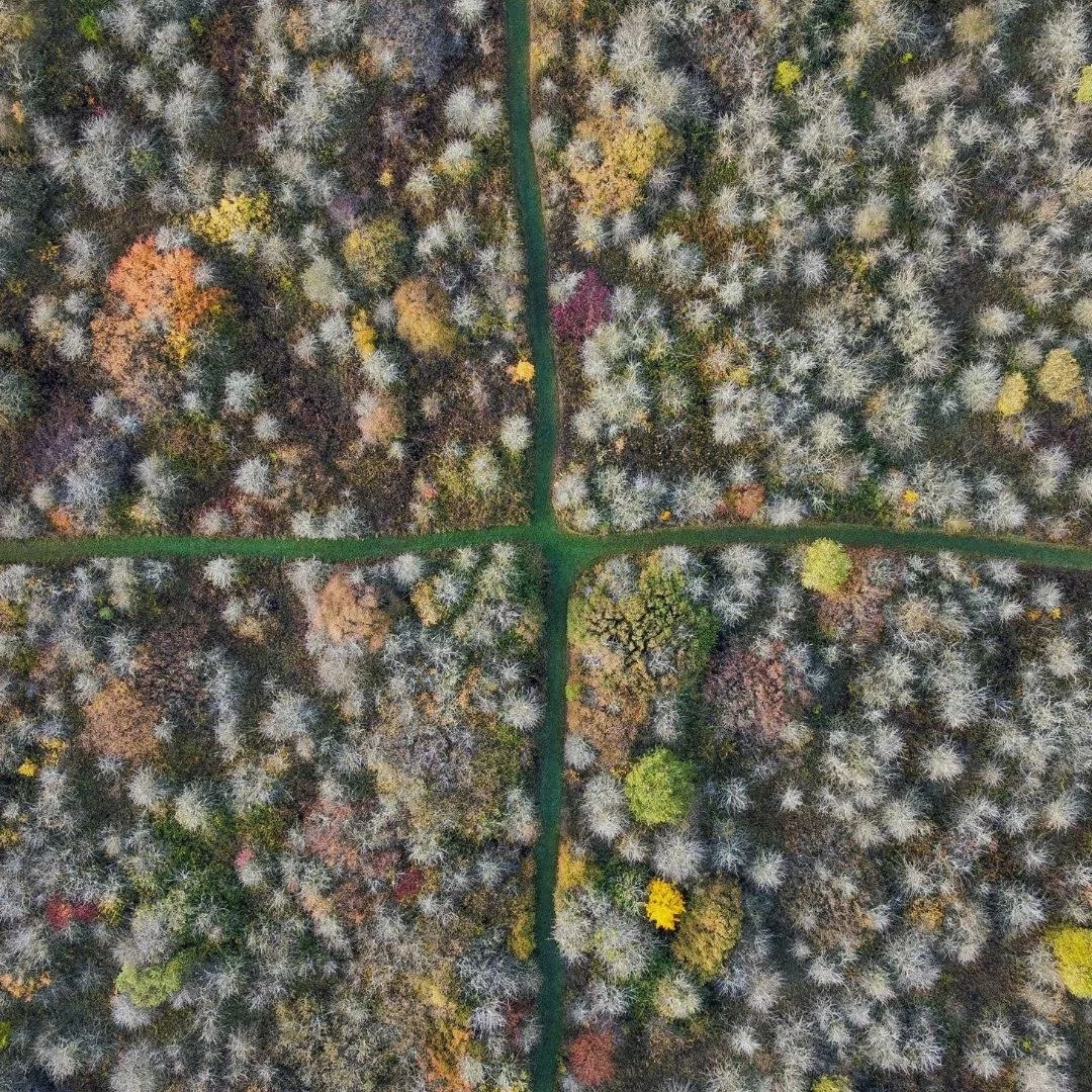 We&rsquo;re excited to share that we&rsquo;re returning to Strawberry Hill this season 🍓

Carefully stewarded by @wildlifebcn, this rewilded land continues to grow in richness and complexity, shaped by long-term care and close observation. If you do