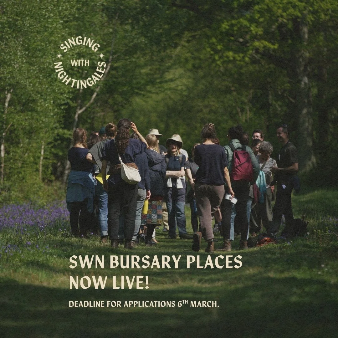 Our SWN bursary programme offers free or discounted places to eligible participants.

Support also covers camping and access to afternoon or morning workshops for anyone who cannot afford the full price.

We believe time in the natural world is a fun