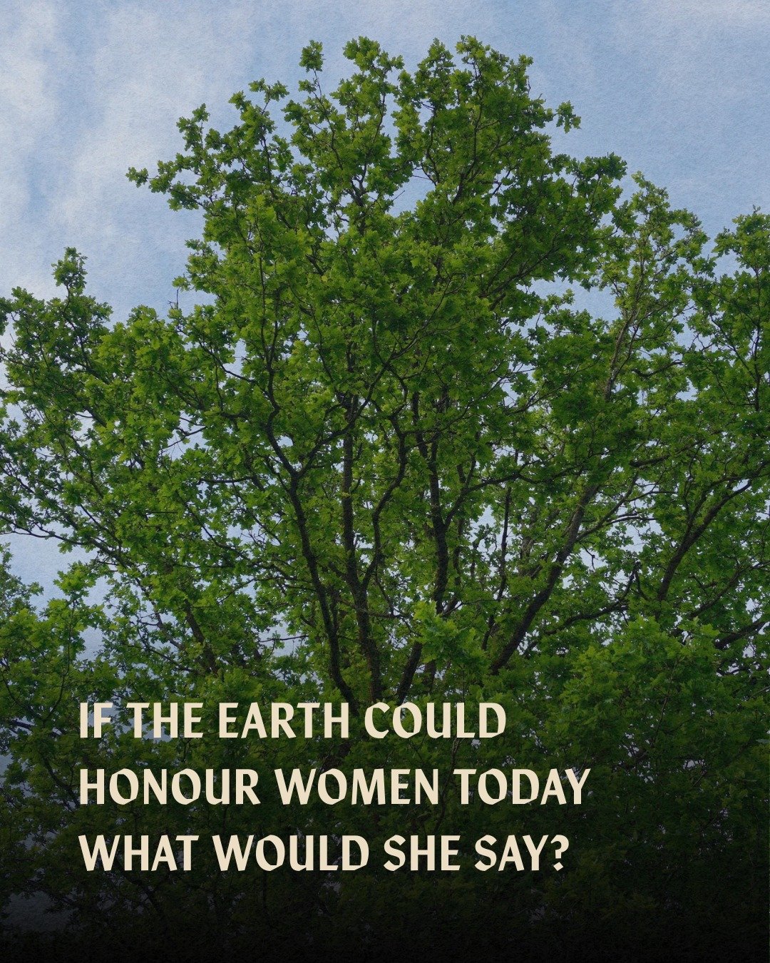Today for International Women&rsquo;s Day, we asked the wonderful women on our team a simple question:

If the Earth could honour women today, what might she say? 💚

Their answers are small reflections, rooted in gratitude, resilience, care, and con