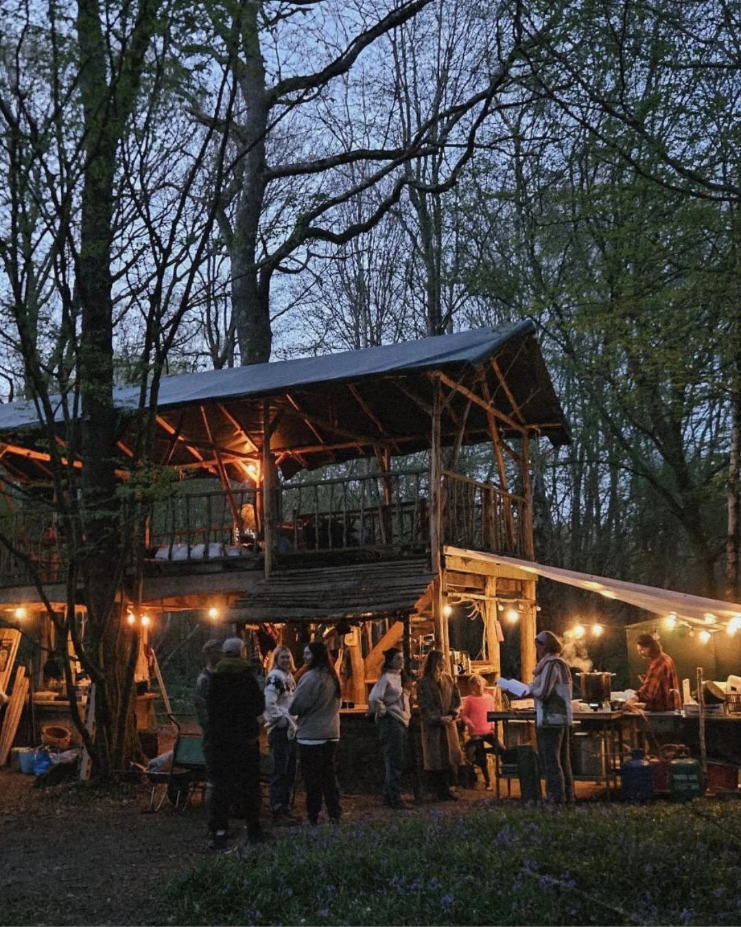 The first week of our 2026 season is behind us, and what a beginning it has been. We&rsquo;ve welcomed the first of the birds and you back to the blackthorn thicket...

Since those early months of waiting and imagining this season, the woods have tra