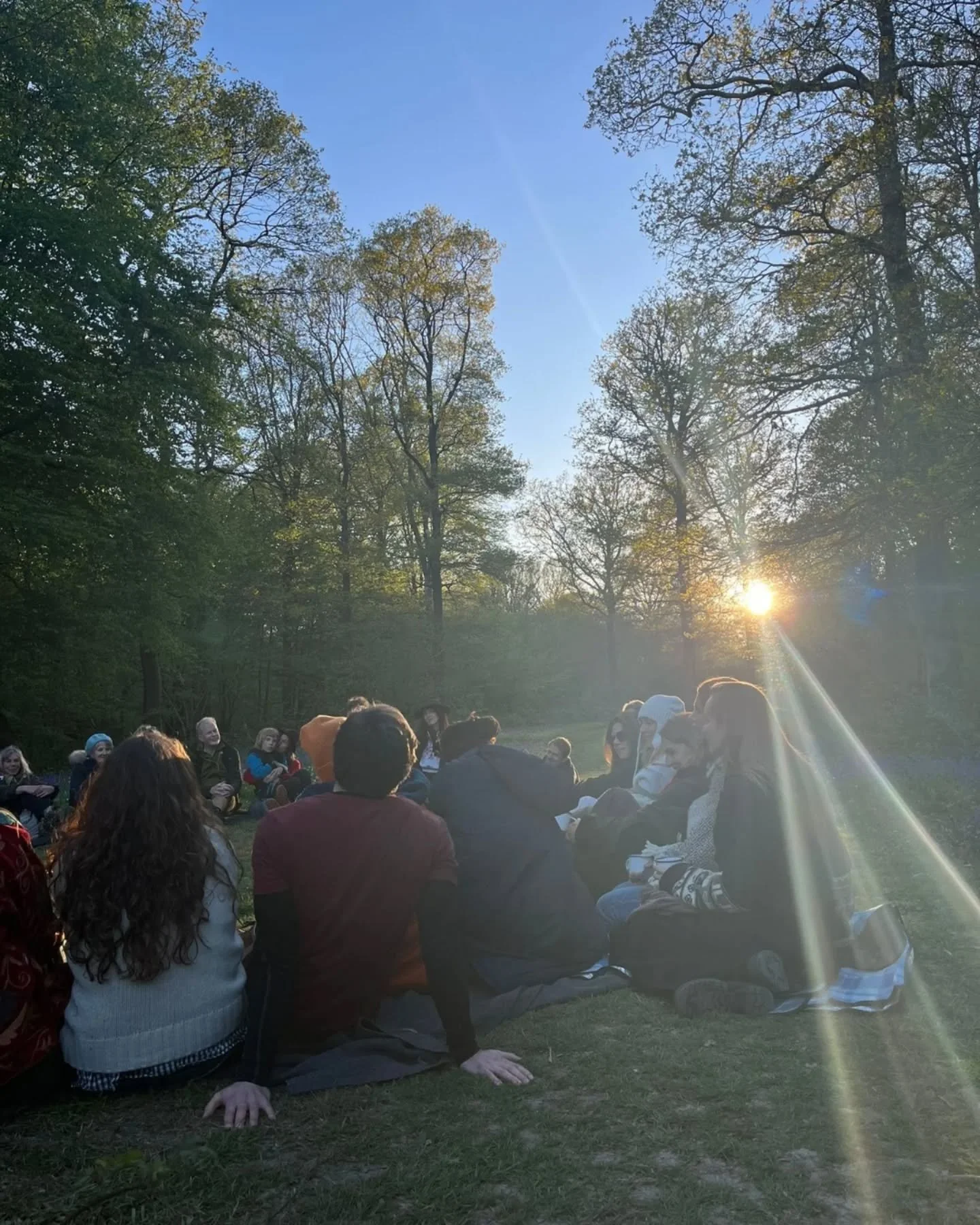 The woods&rsquo; green deepening for Summer, the caterpillars weaving their pupa, the birds songs dropping off as they find their match and wait for eggs to hatch. It&rsquo;s near the end of the season and we can&rsquo;t quite believe it!

Some glimp