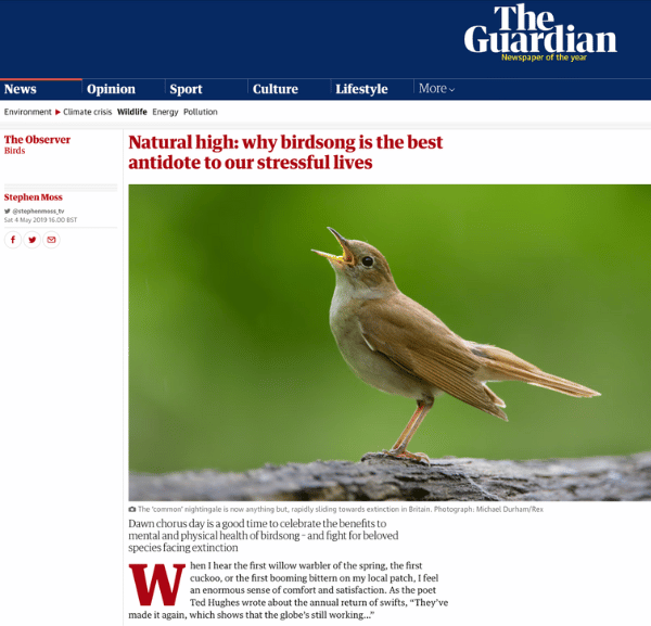 Screenshot of Guardian article about birdsong