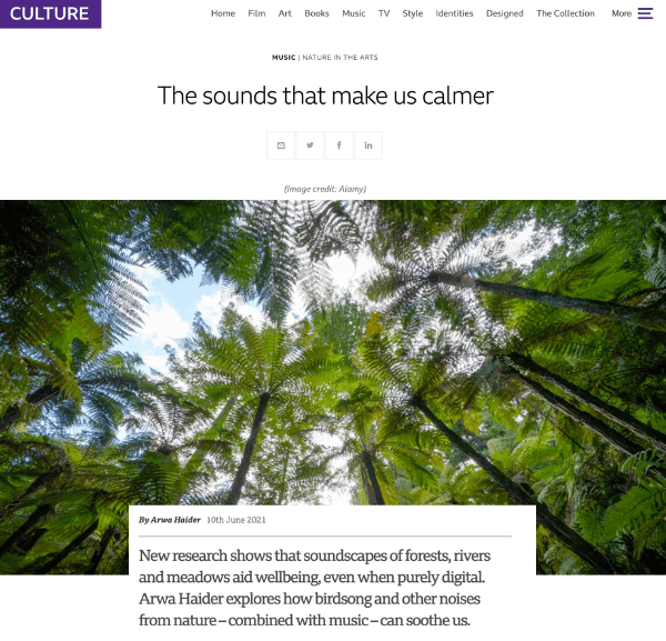 Screenshot of a BBC Culture article about sounds that makes us calmer