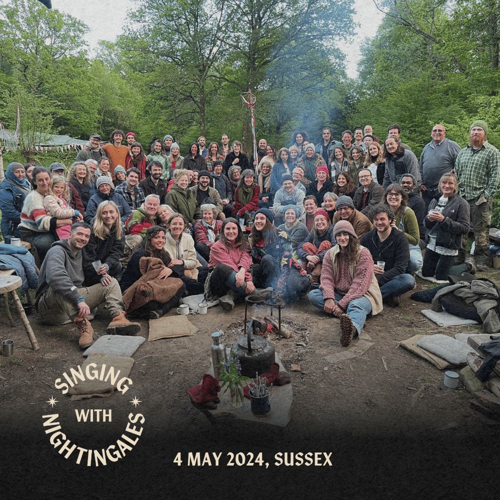 4 May 2024, Sussex