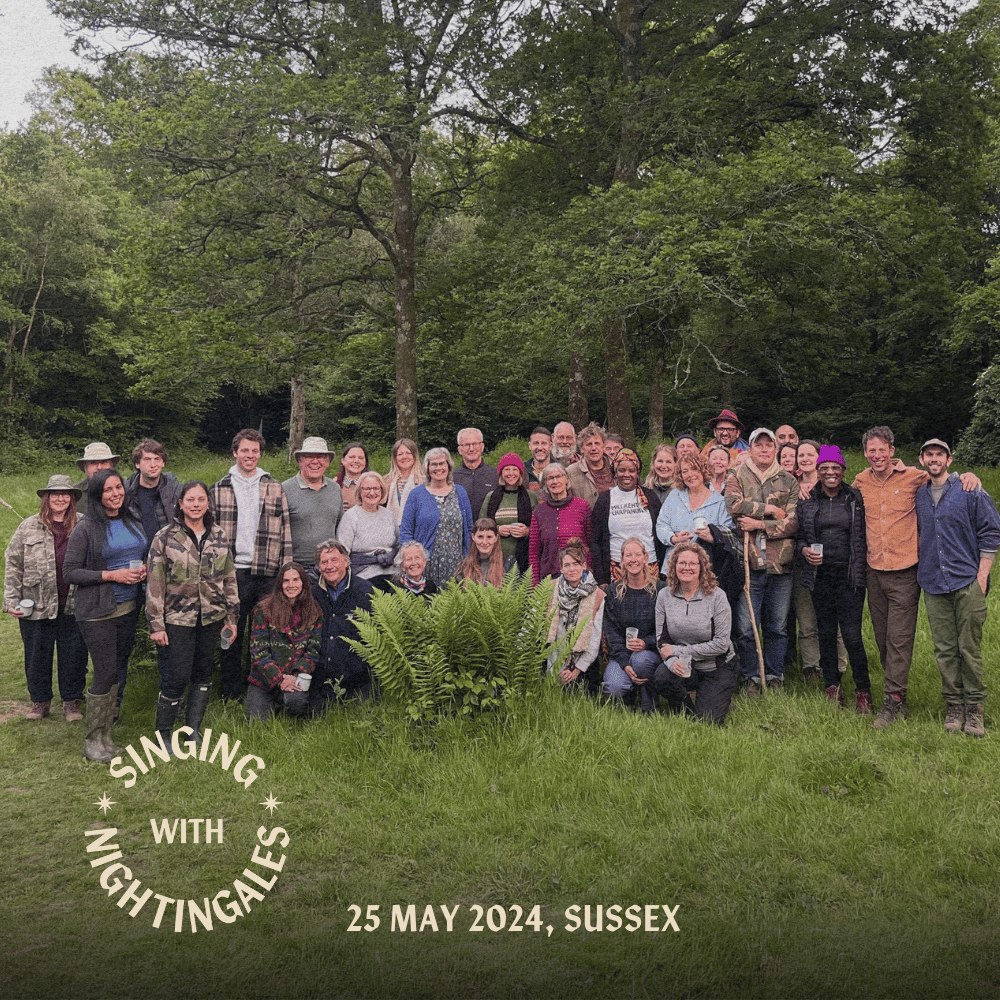 25 May 2024, Sussex