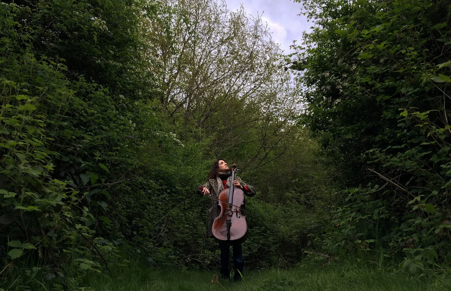 laura-moody-thickets_compressed_resized.jpg