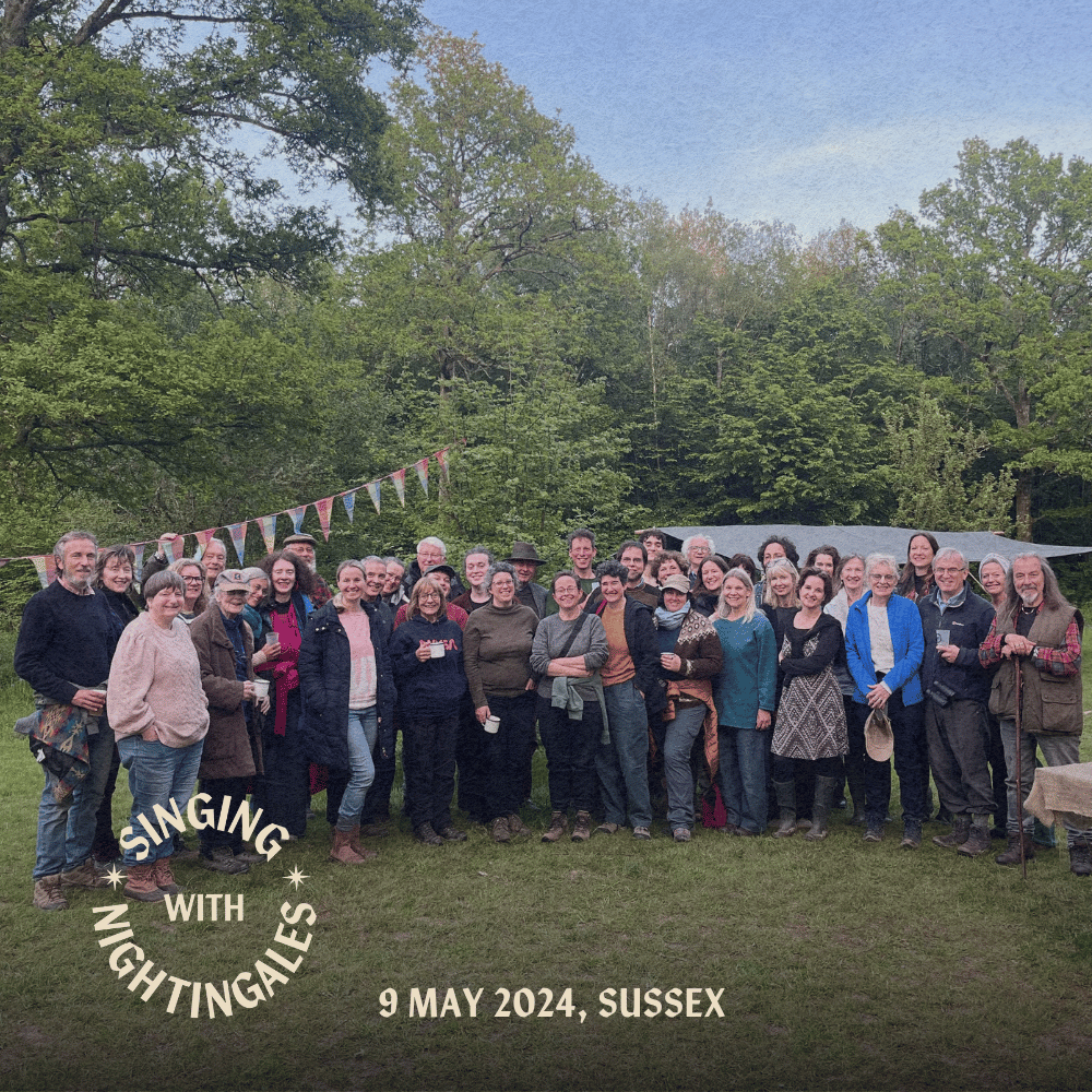9 May 2024, Sussex