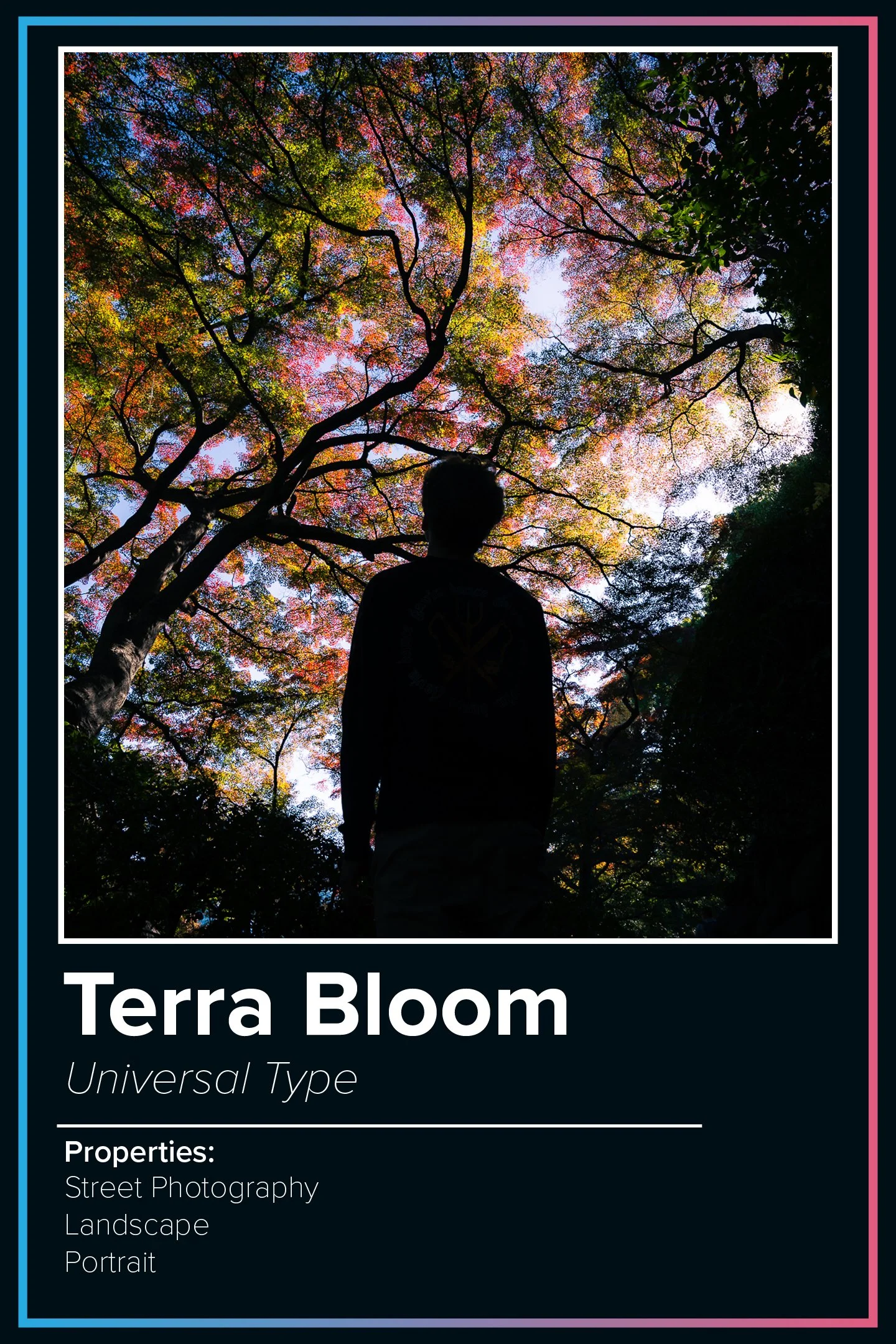 A person standing outdoors beneath a tree with colorful autumn leaves, looking up at the sky.