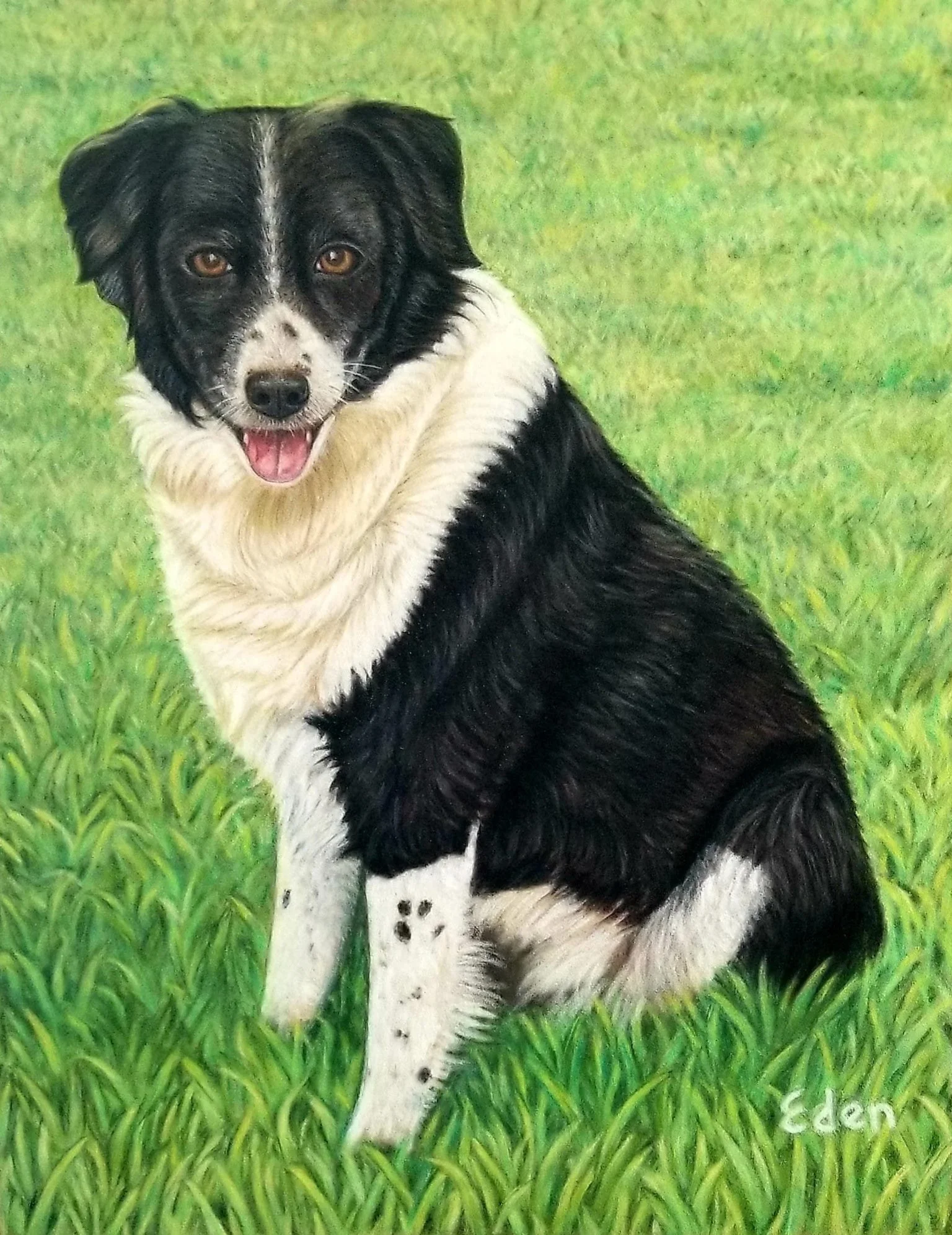 Animals and Pet Portraits