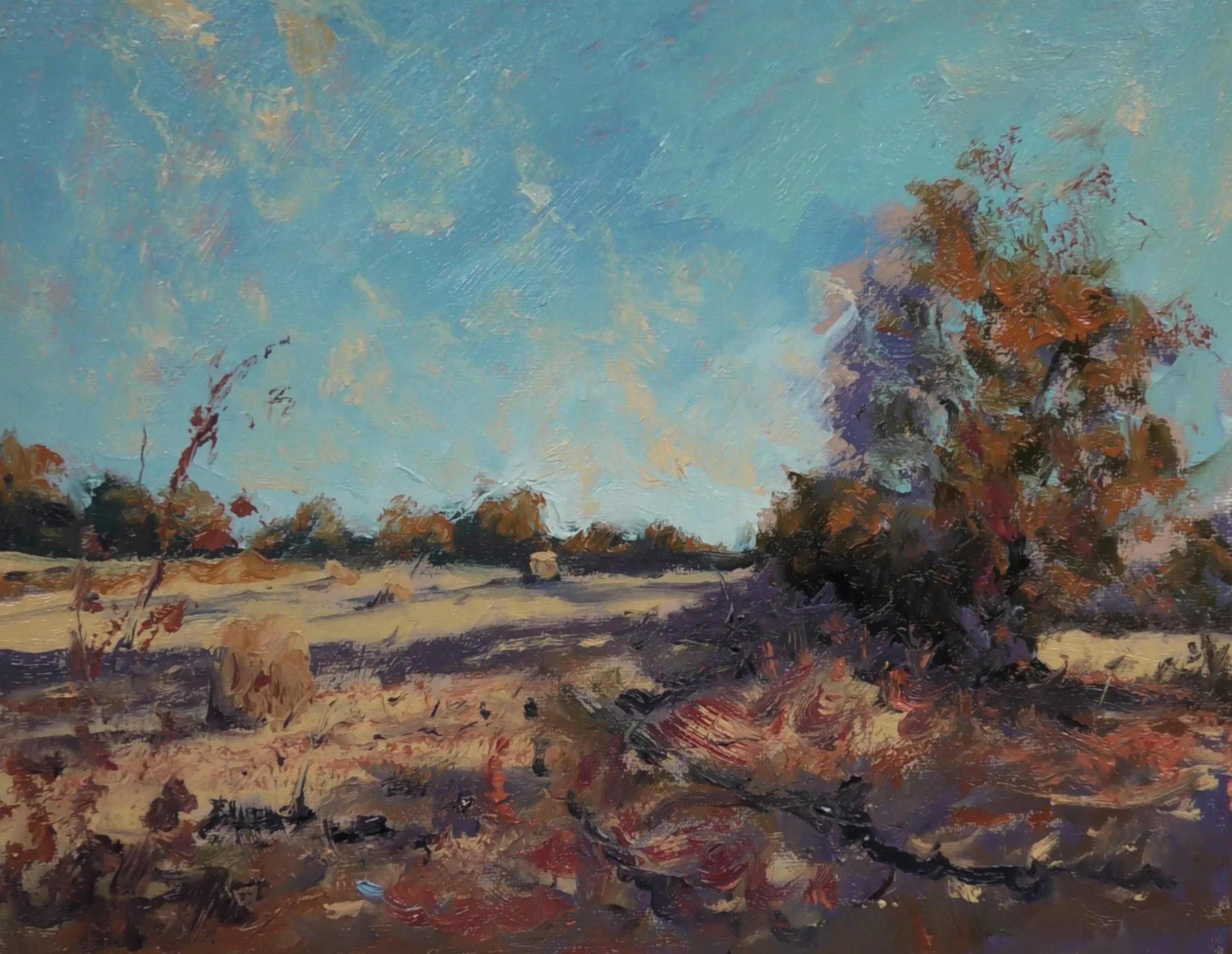 S2910001.JPG