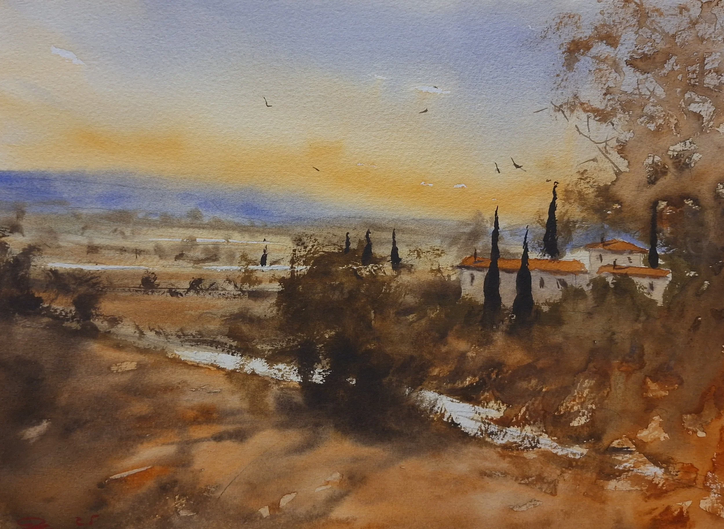 'Golden Hour Over Provence'