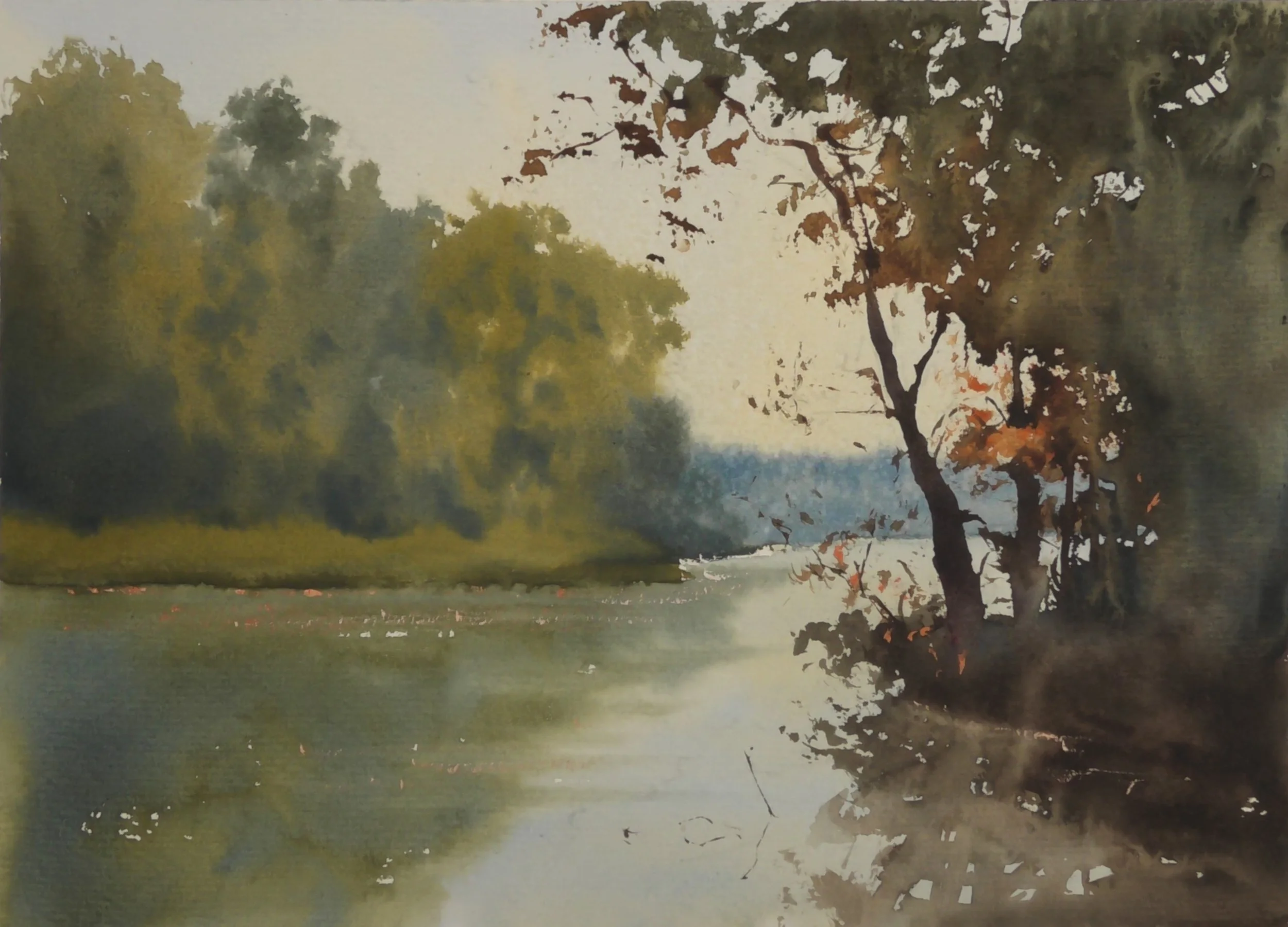 S3060005.JPG