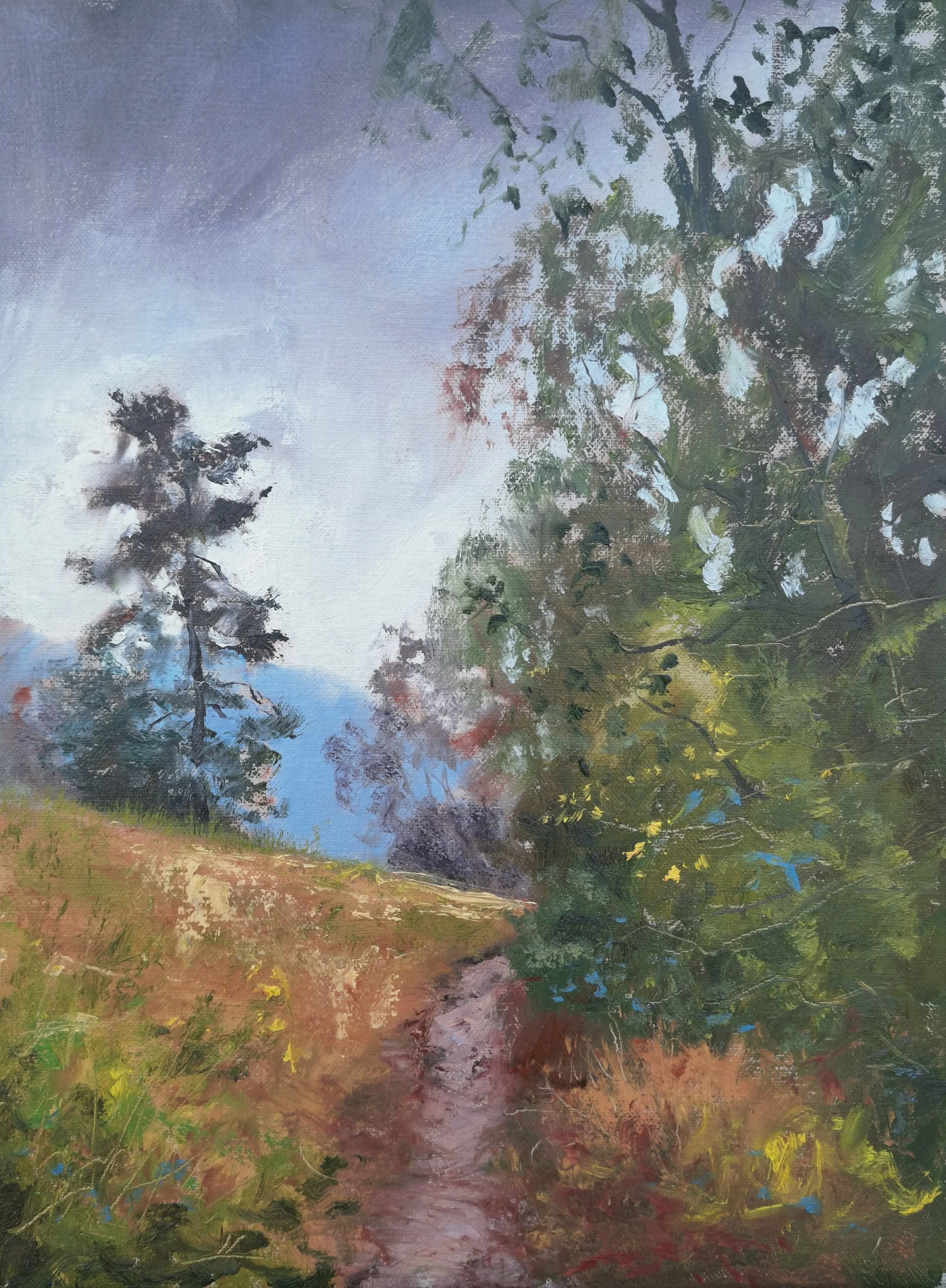 Atmospheric landscape