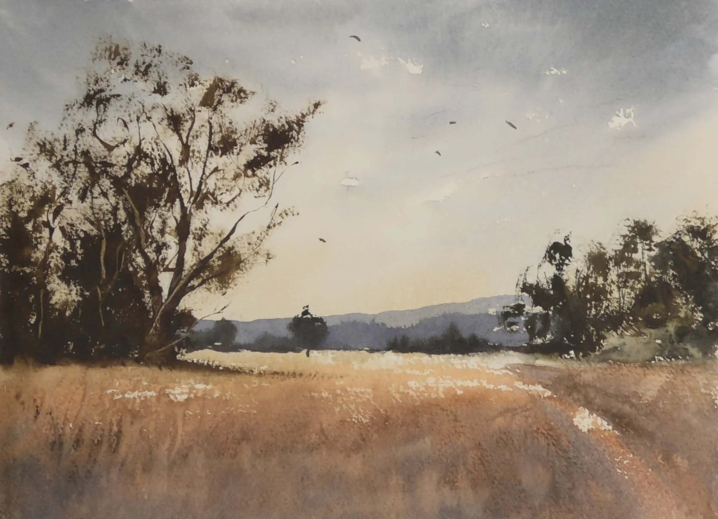 S3140016.JPG