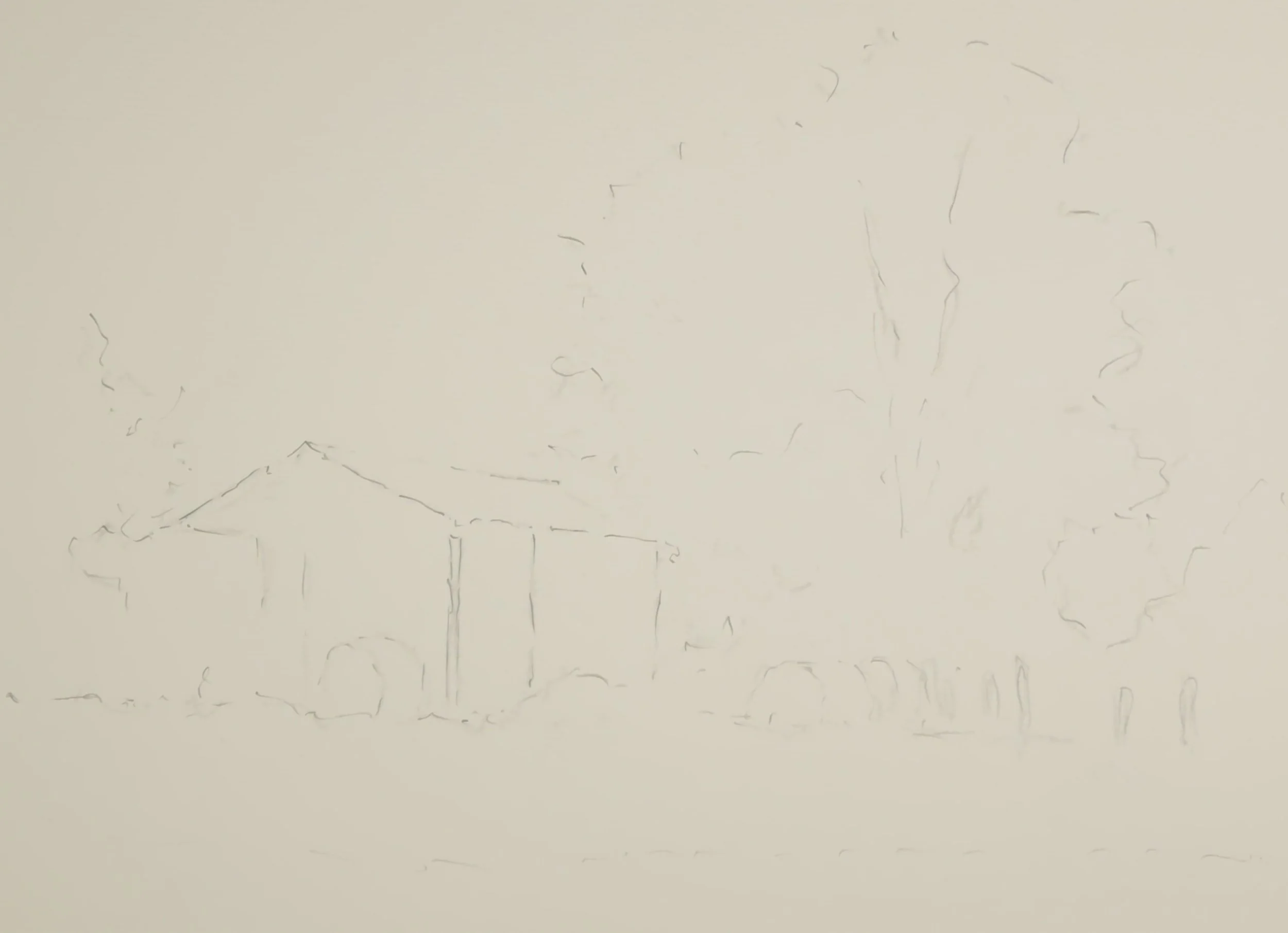 S3140004.JPG