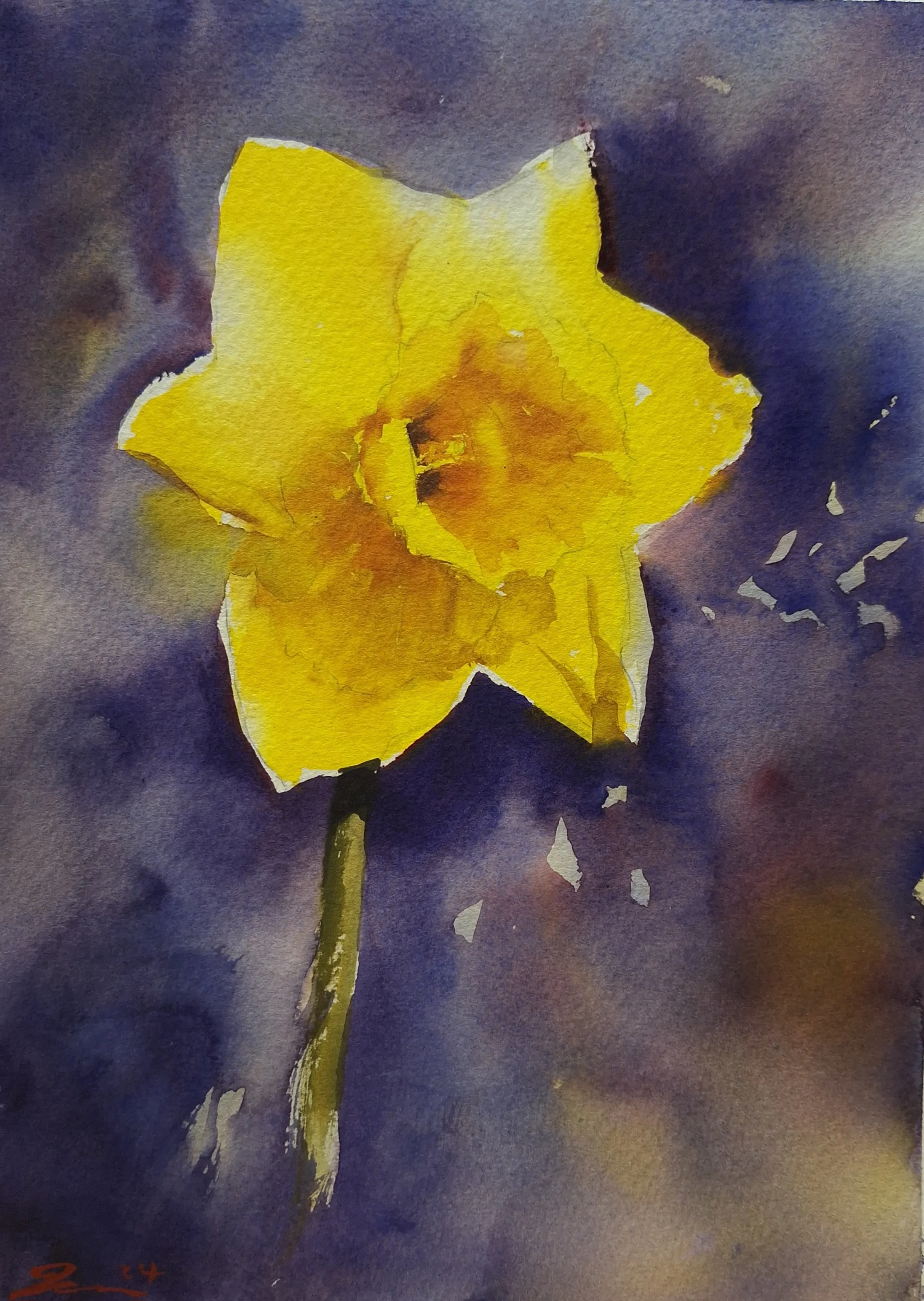 'Daffodil Awakening' - Small