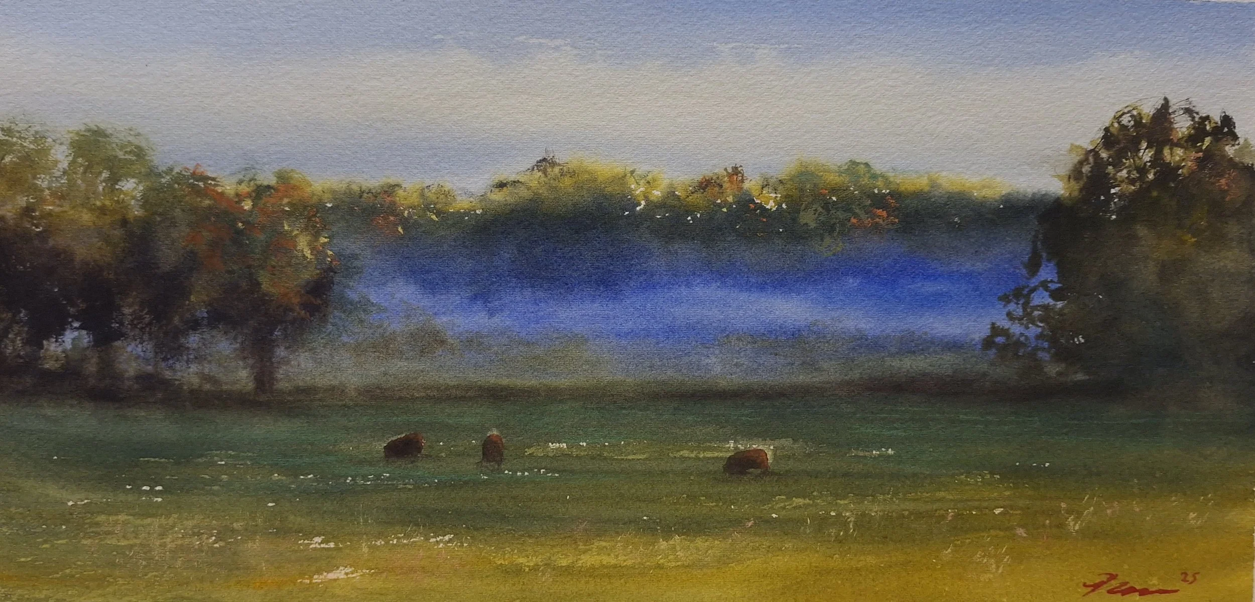 'Morning Pasture In Blue Light' - Small