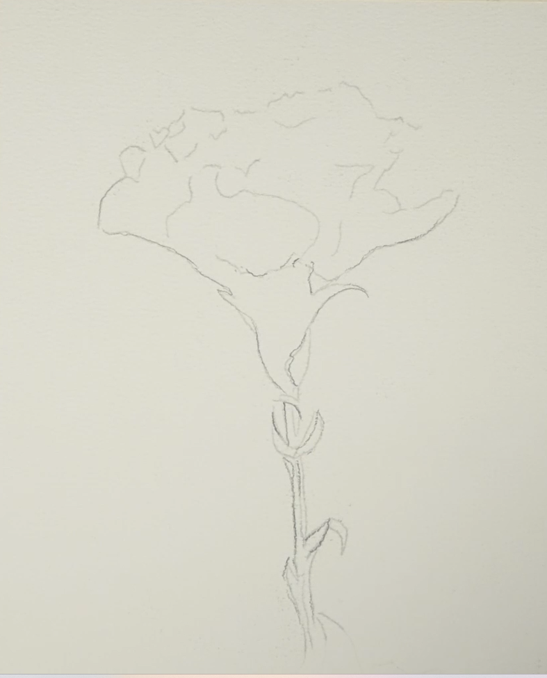 Screenshot 2026-01-31 162752.png