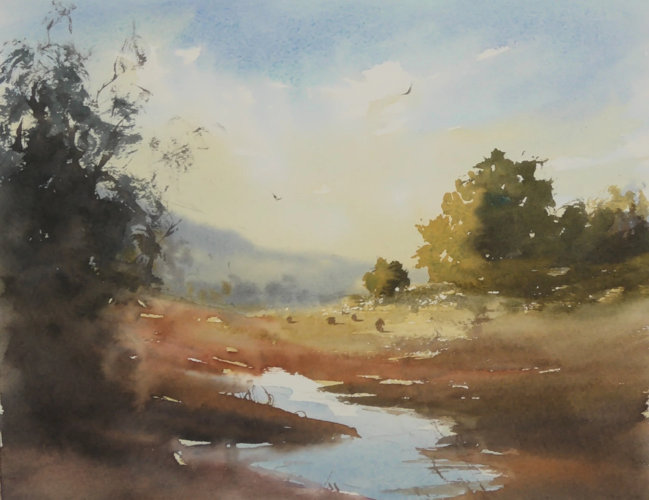 S2900005.JPG