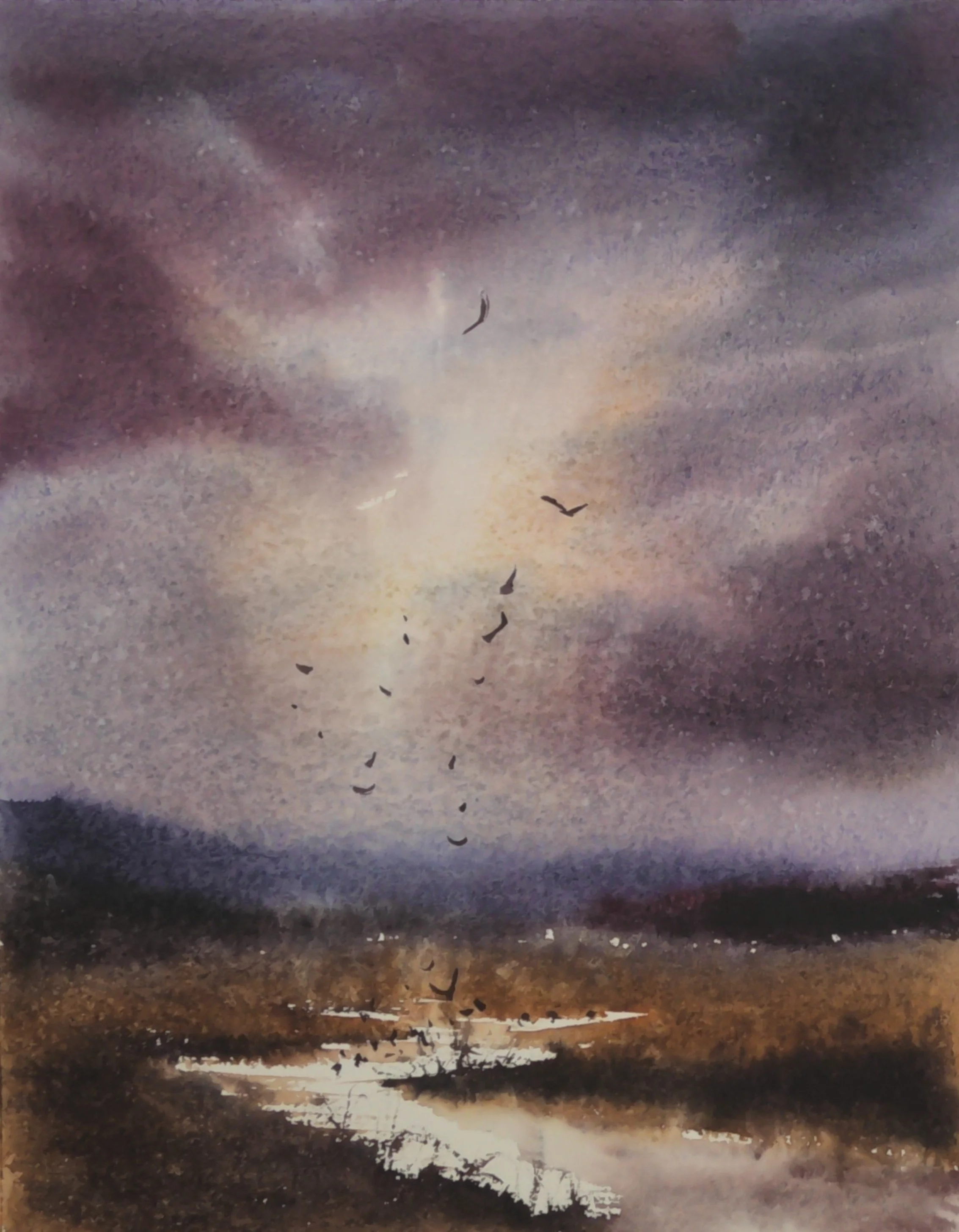 S2900007.JPG