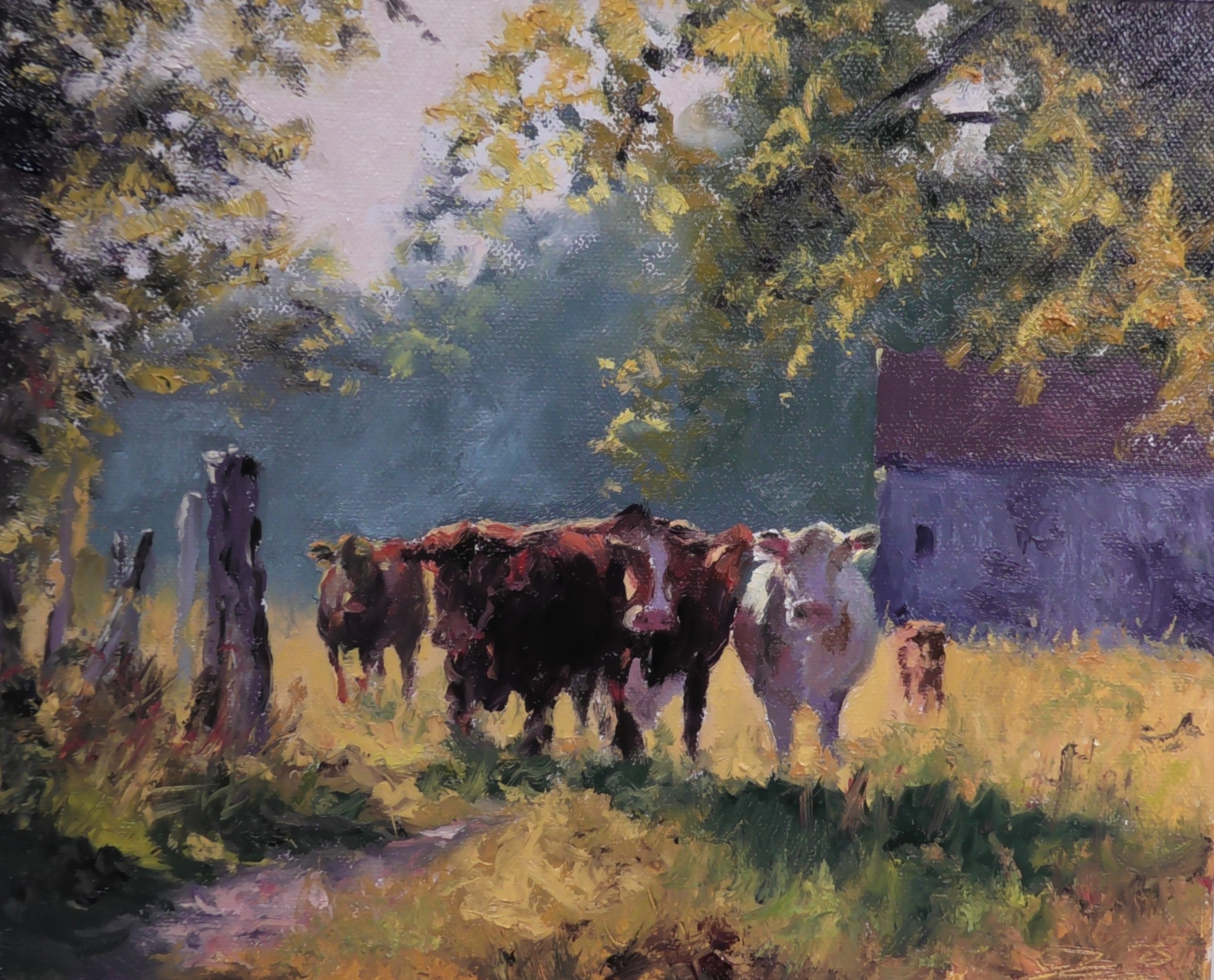 cows-in-sunlit-meadow