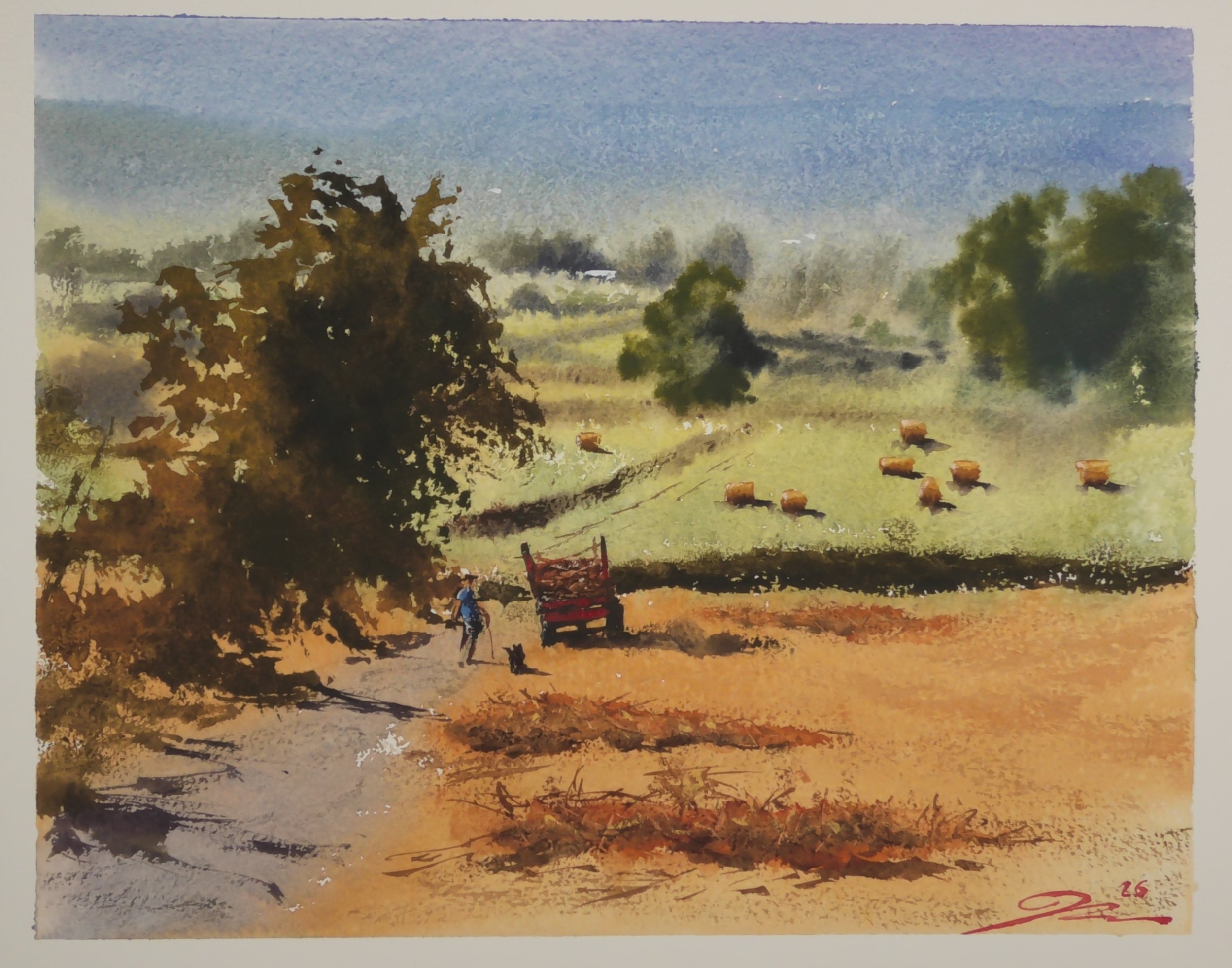 S3060007.JPG