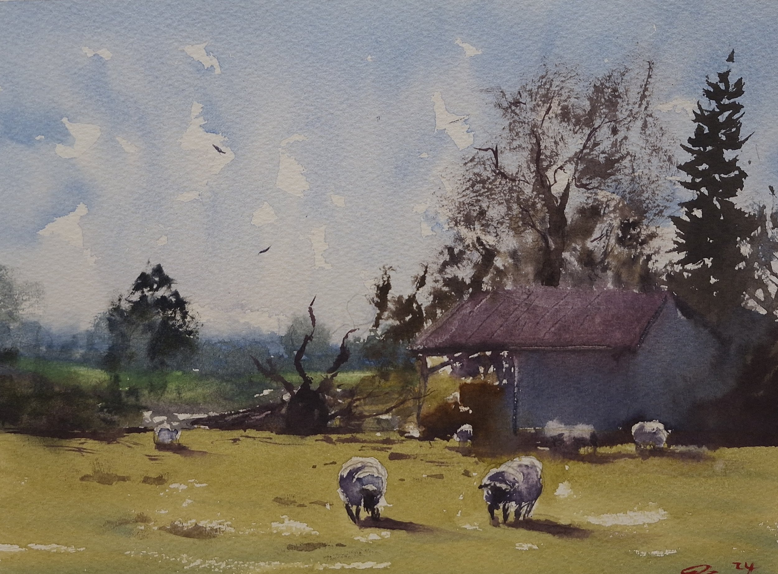 'The Flock In Morning Glow' - Small