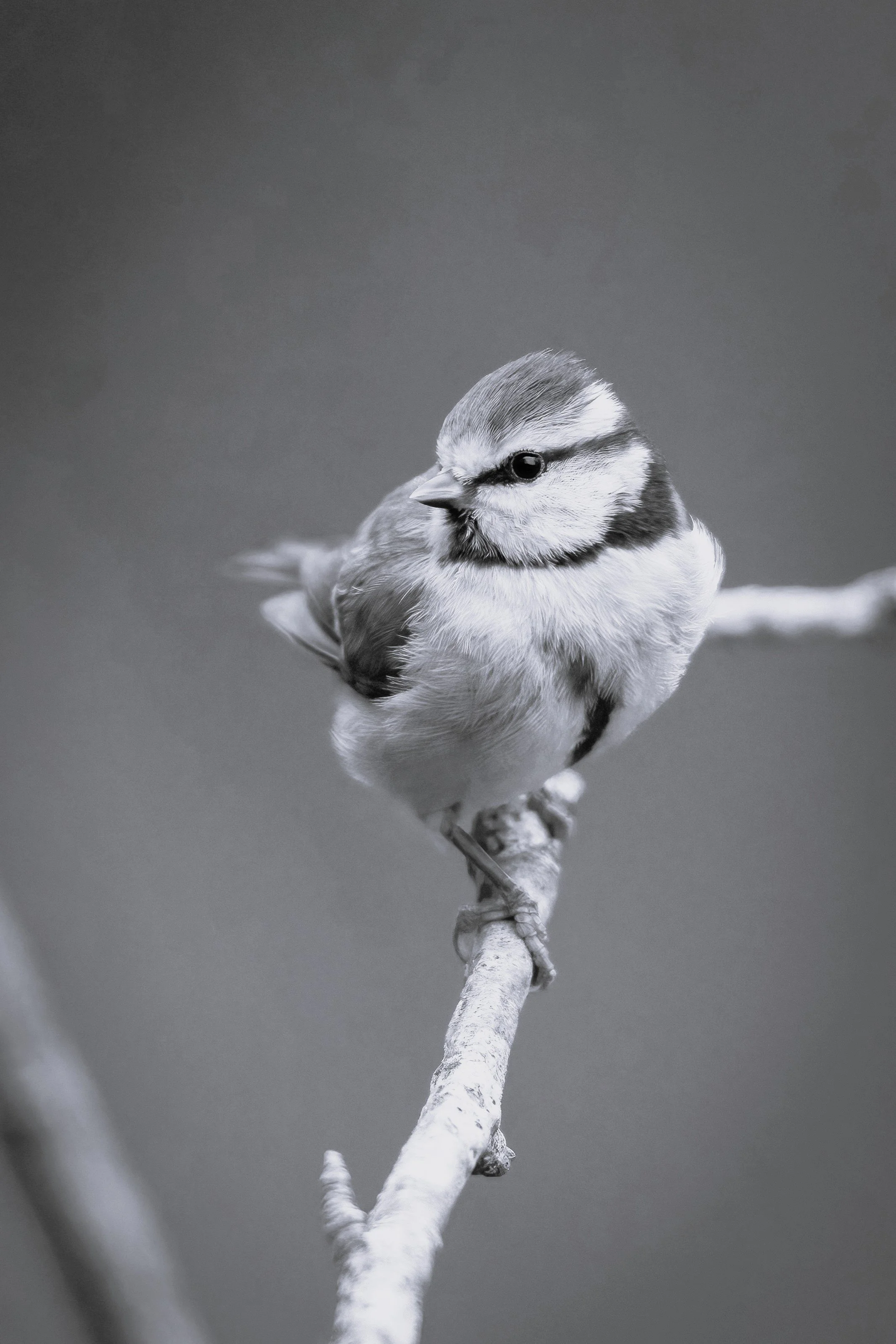 doncoombez-5GkvPTJCU4U-unsplash c.jpg