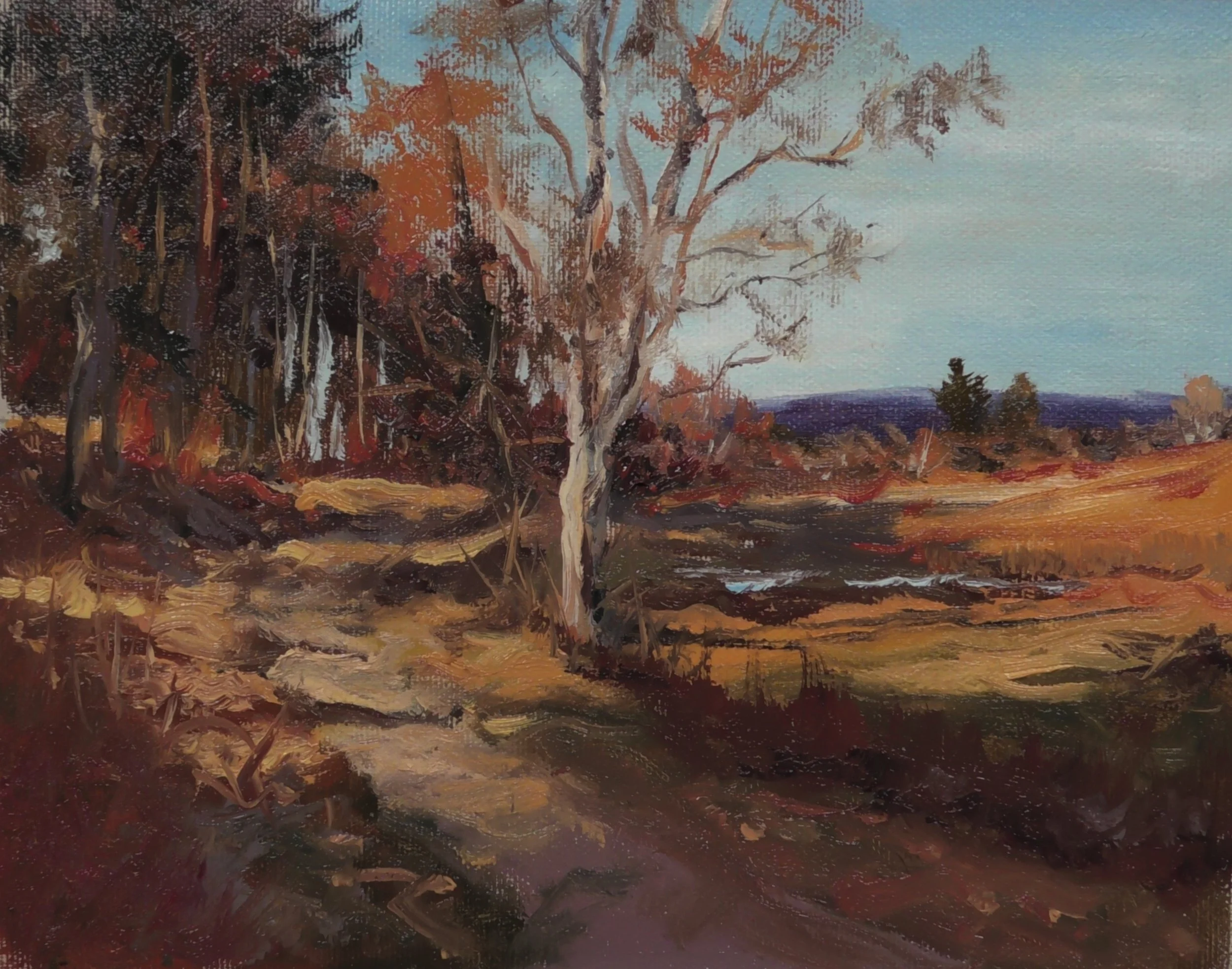 S2910005.JPG