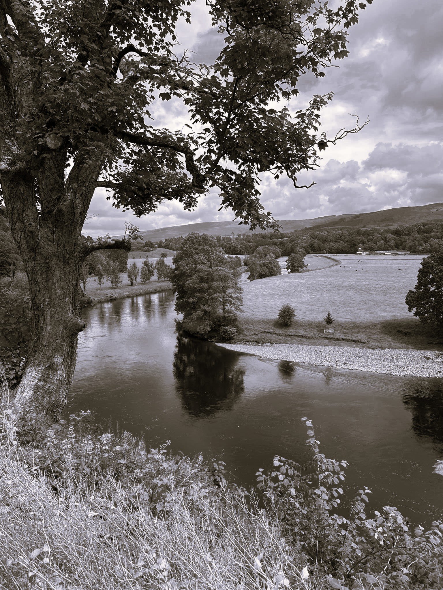 710827583_2774434952917934_2583869270372501365_n tonal.jpg