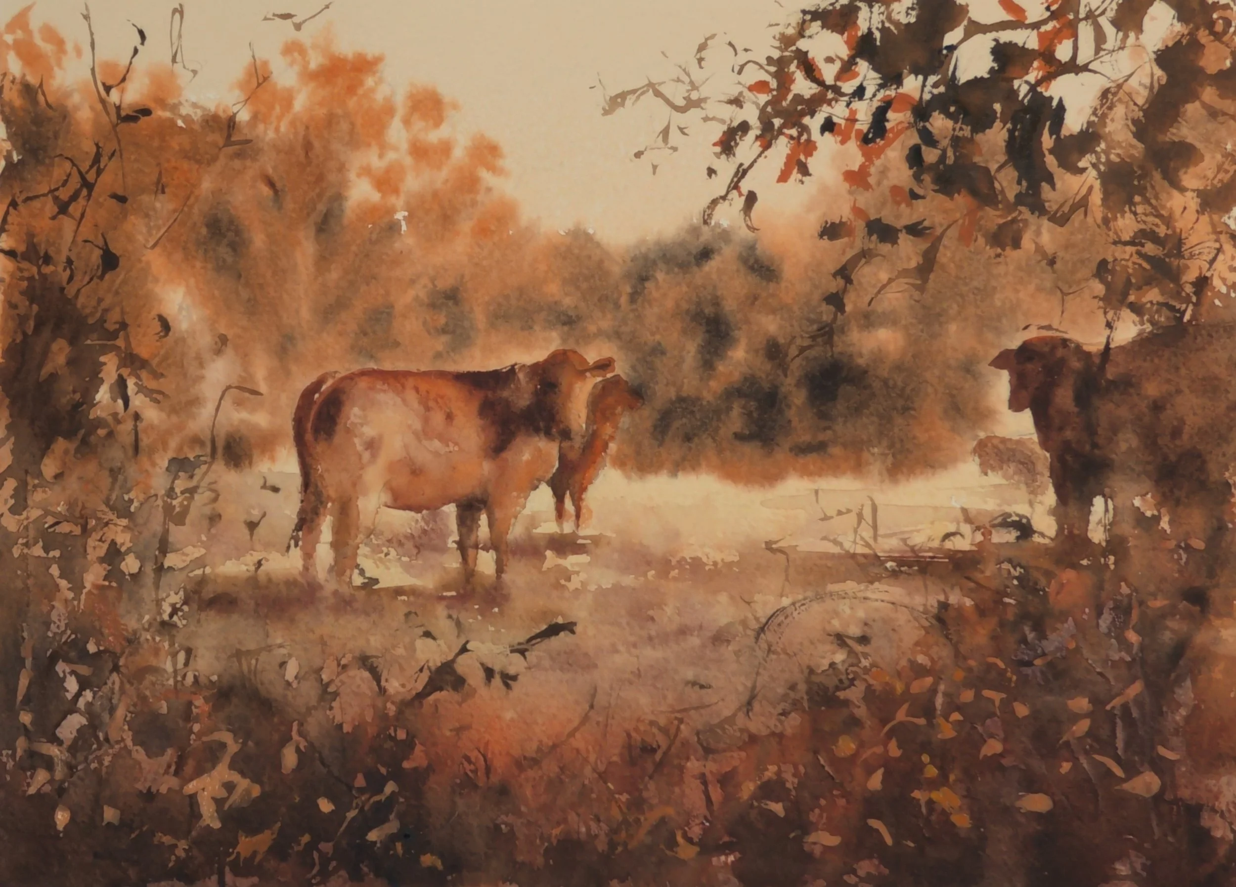 Cow