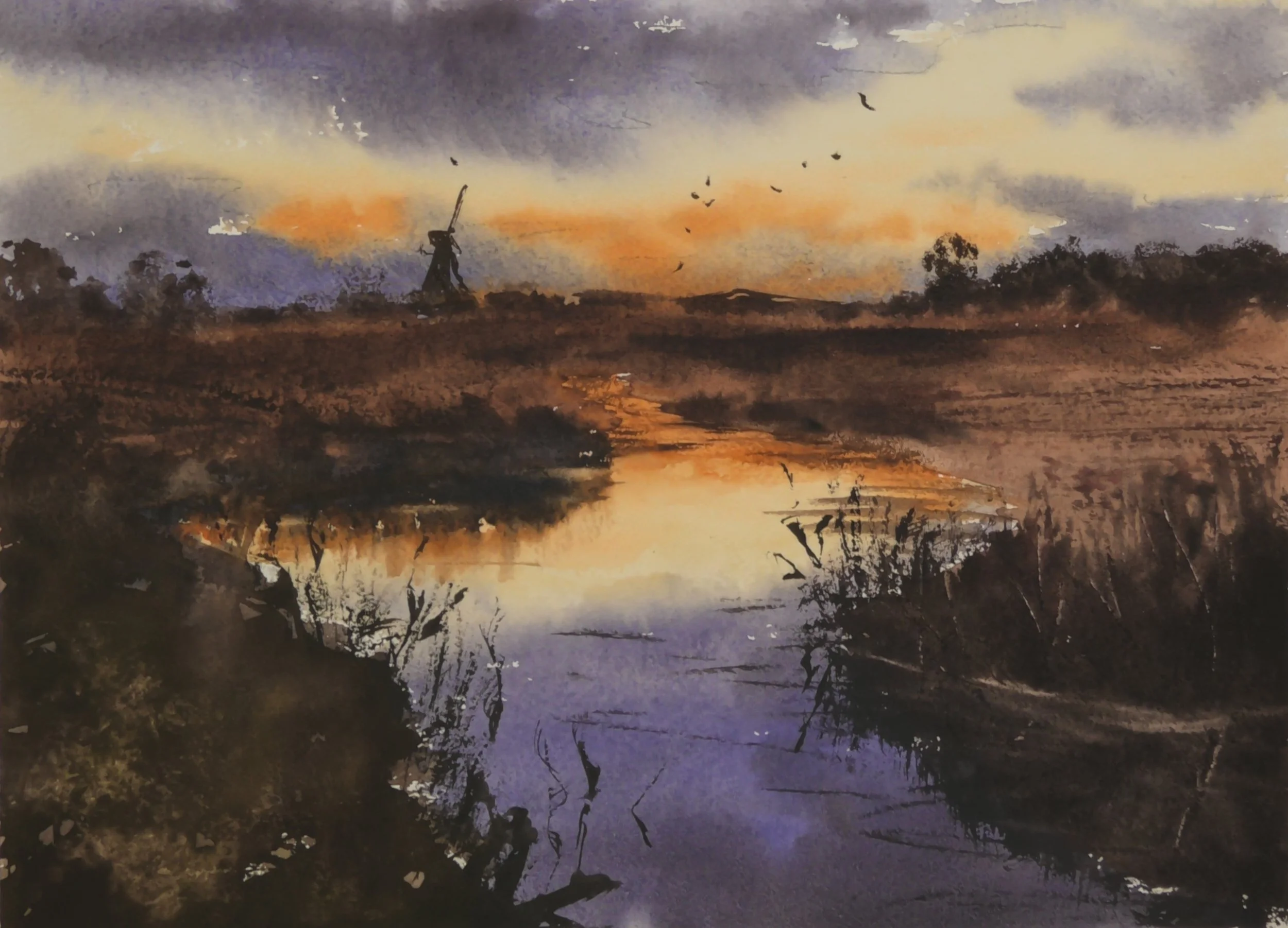 S2920002.JPG