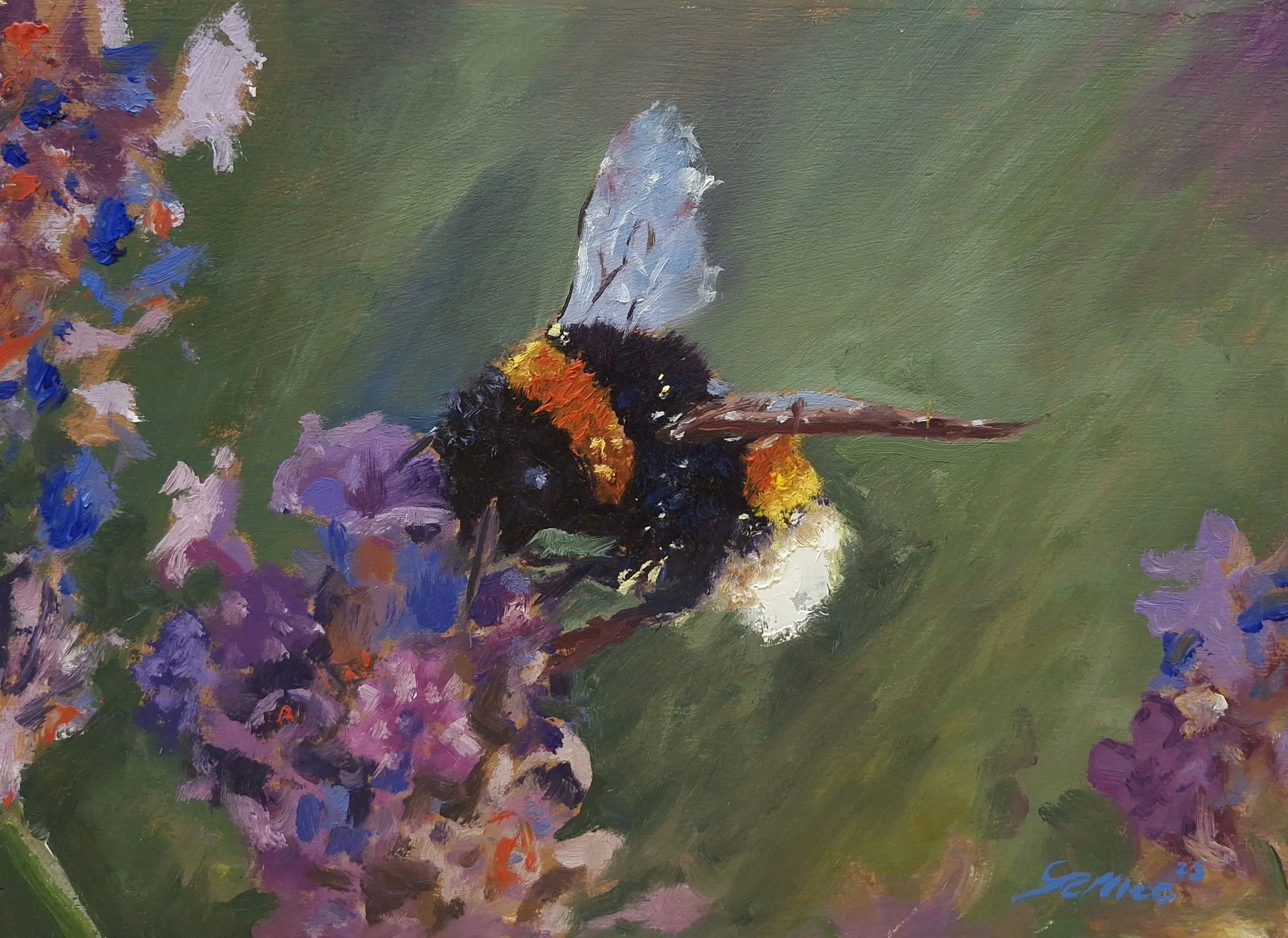 'The Gentle Work Of Summer' - Extra Small