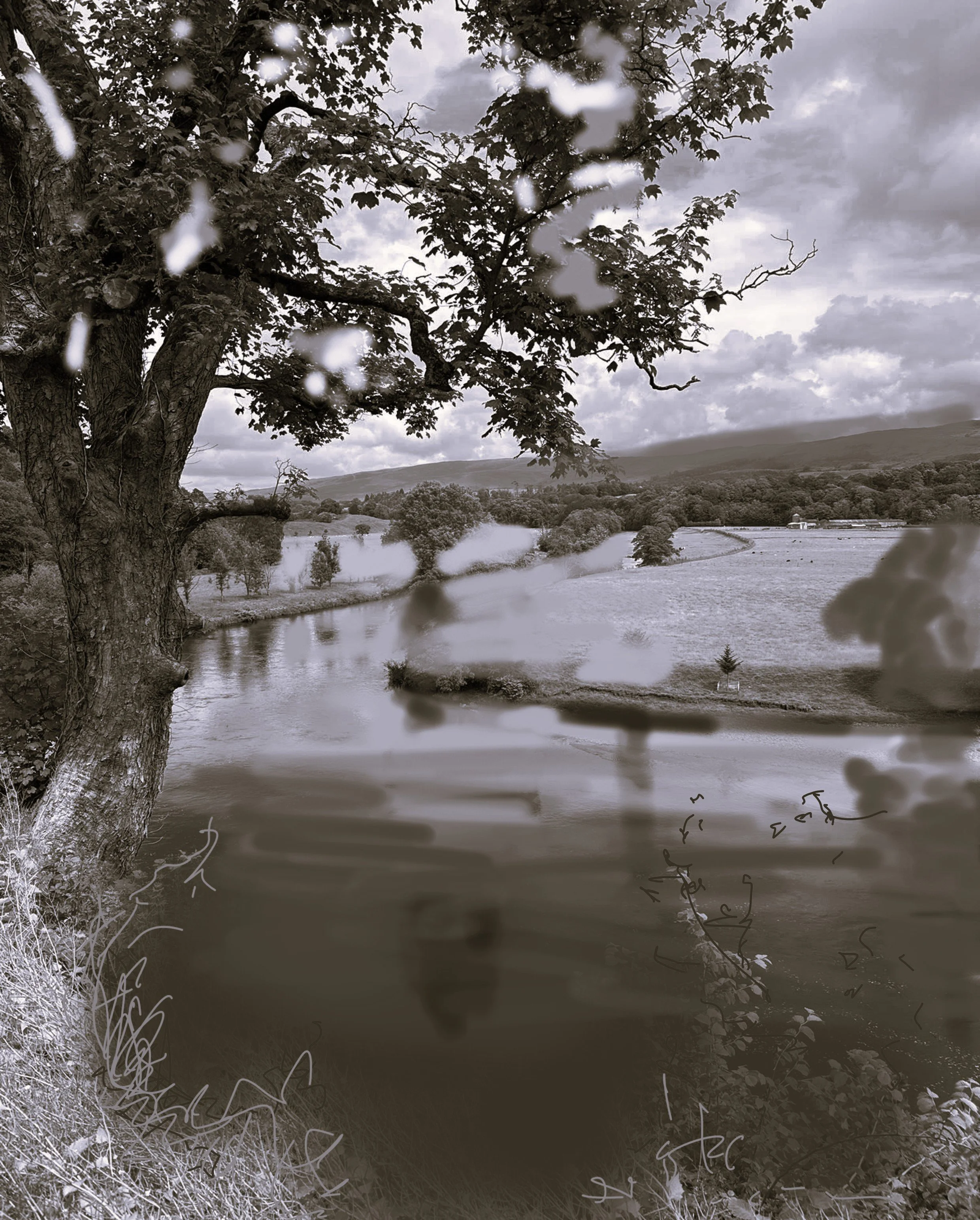 mjune altered tonal.jpg