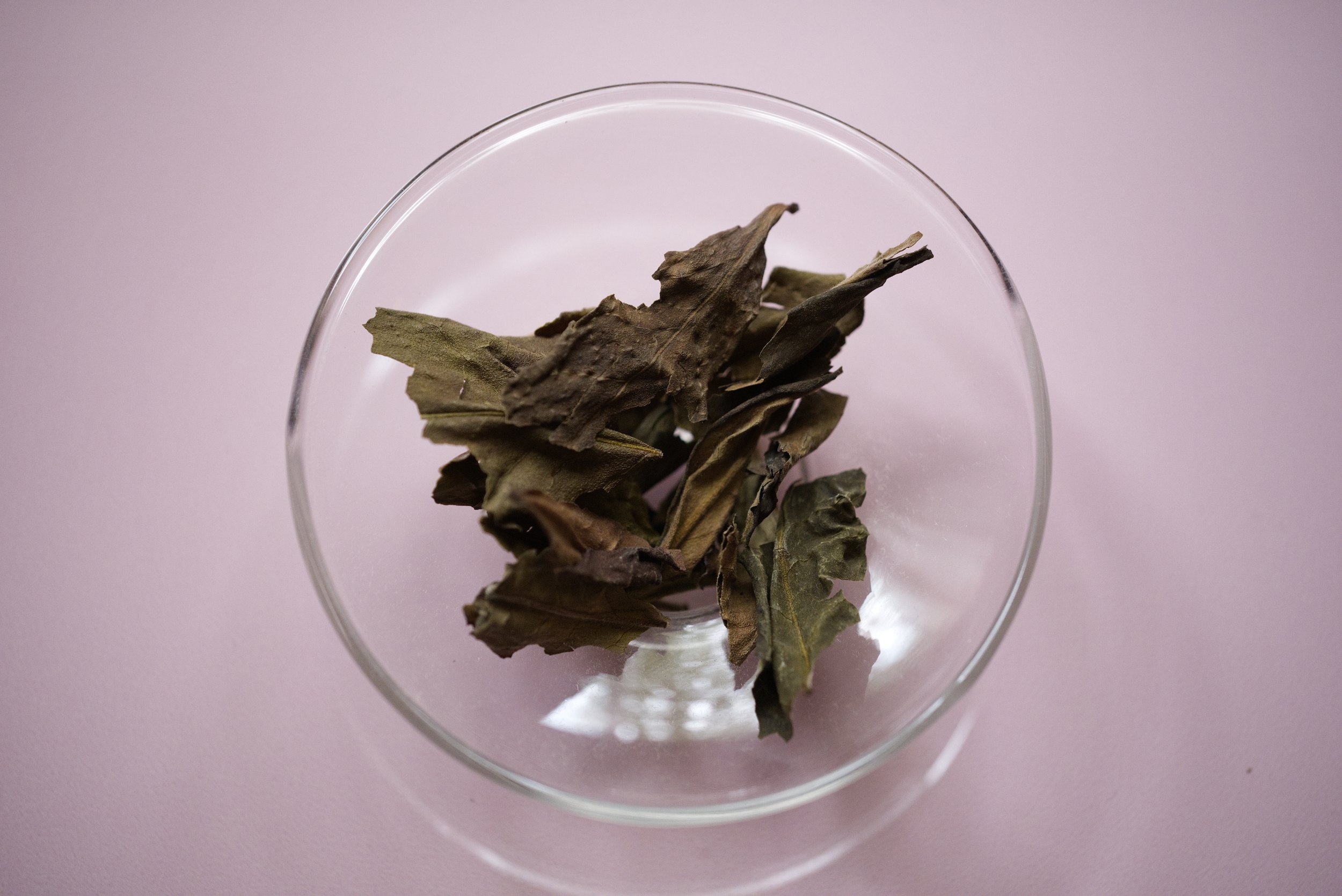Sri Lanka Lumbini Valley Guava og fersken