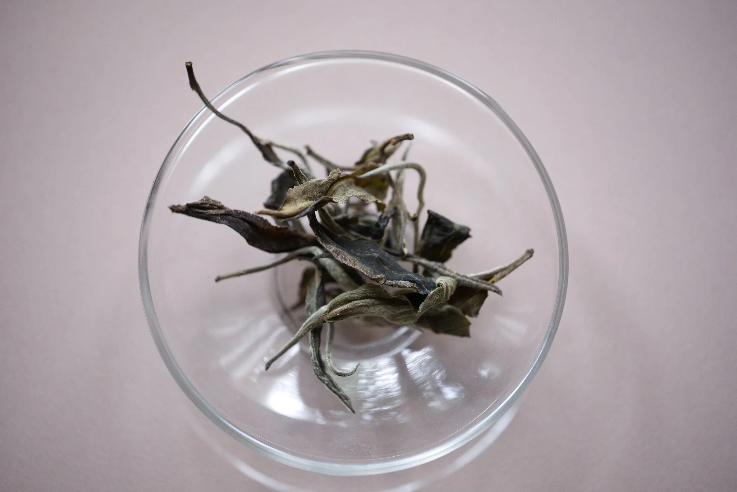 Myanmar Mogok Tea Tree Spirit